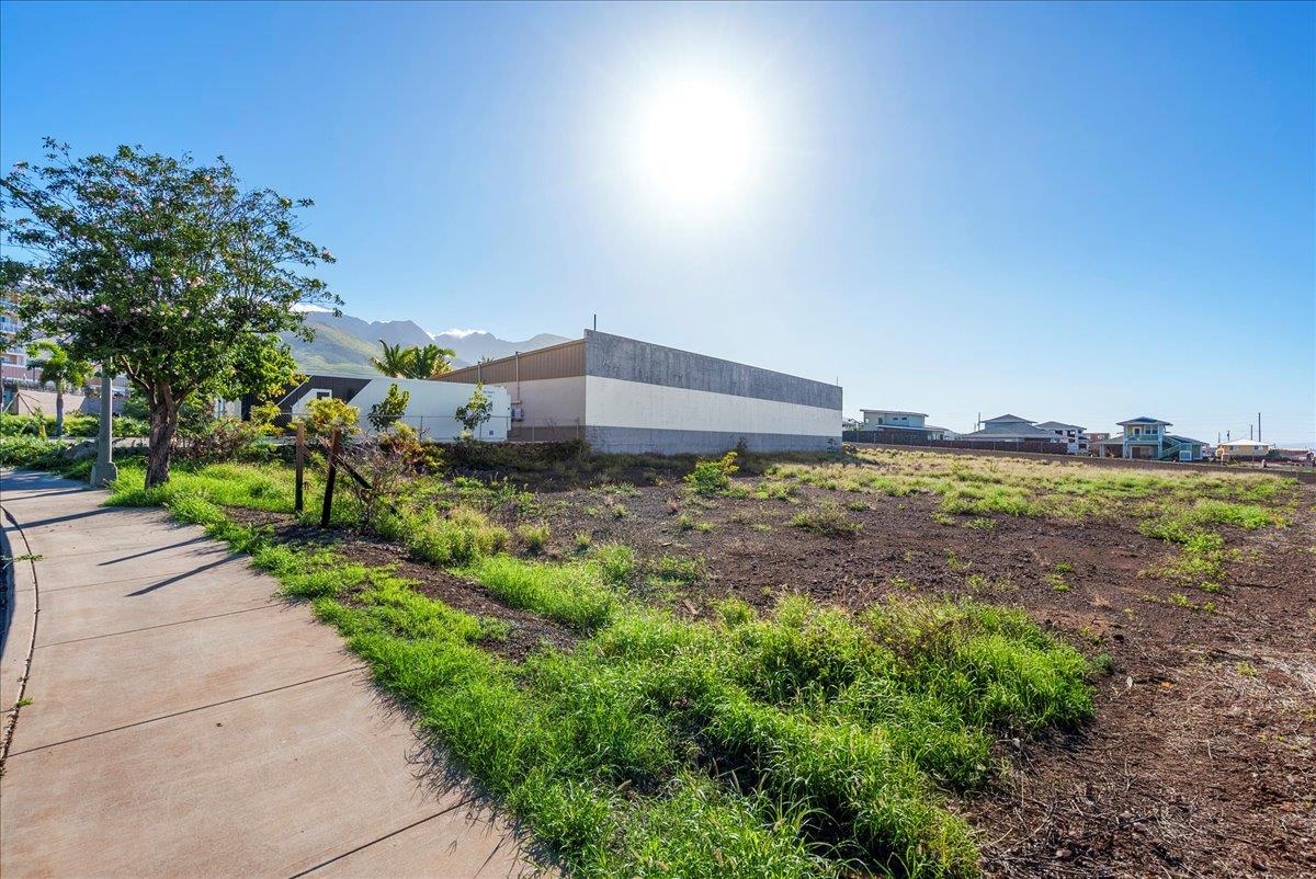 Lahaina Bus Park Ph — photo 8