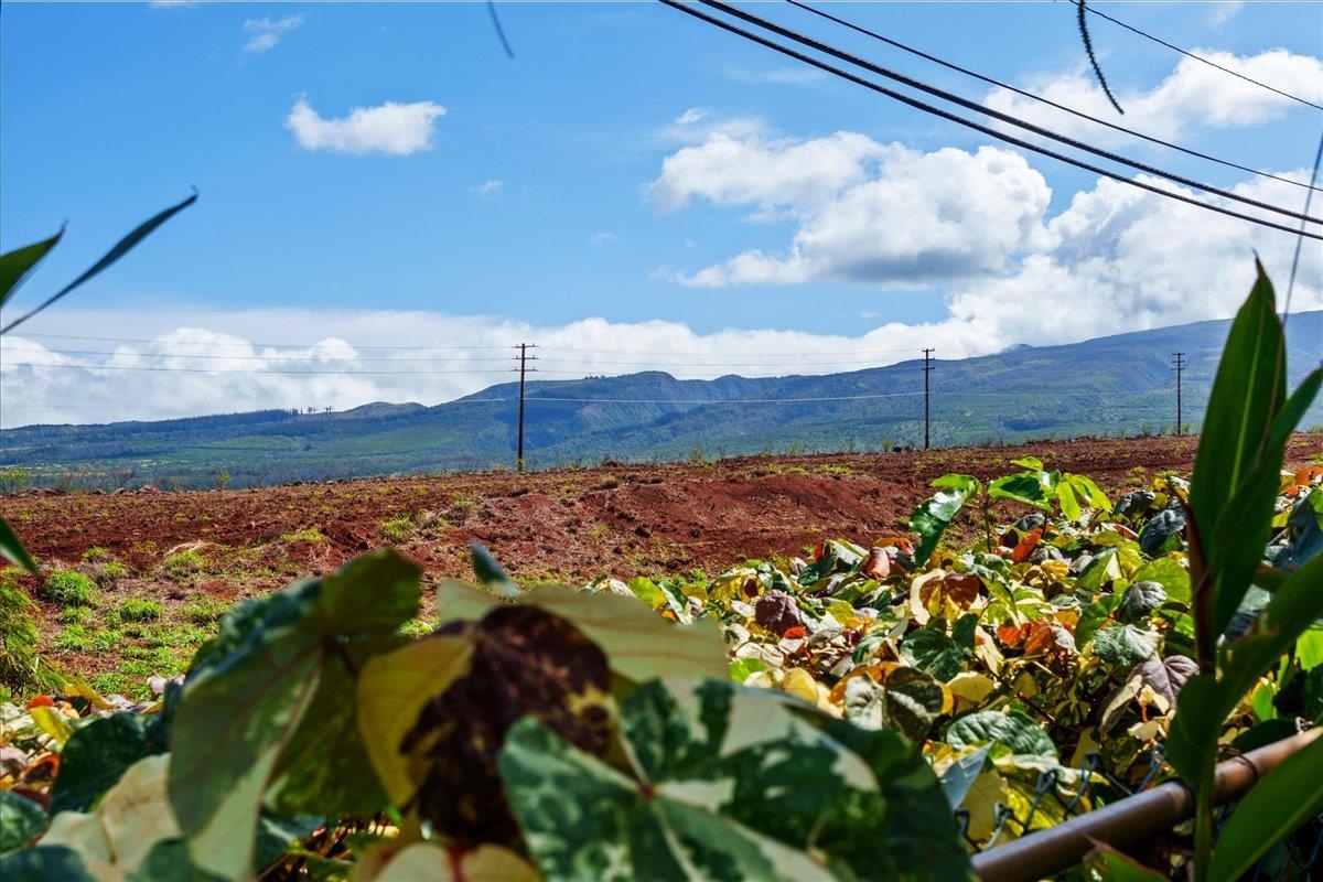 9 Puu Hale St, Lahaina, HI, 96761