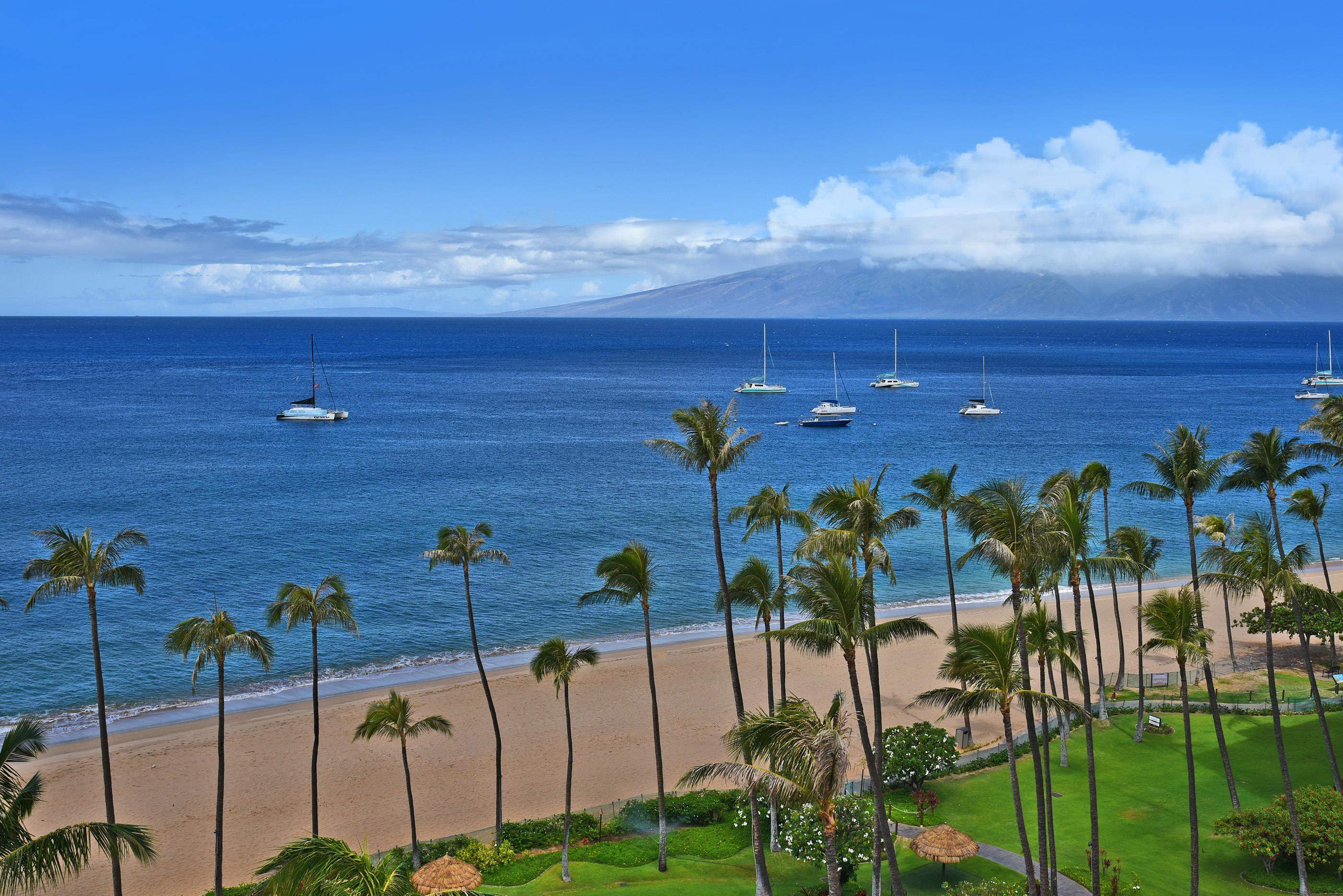 Maui Condos