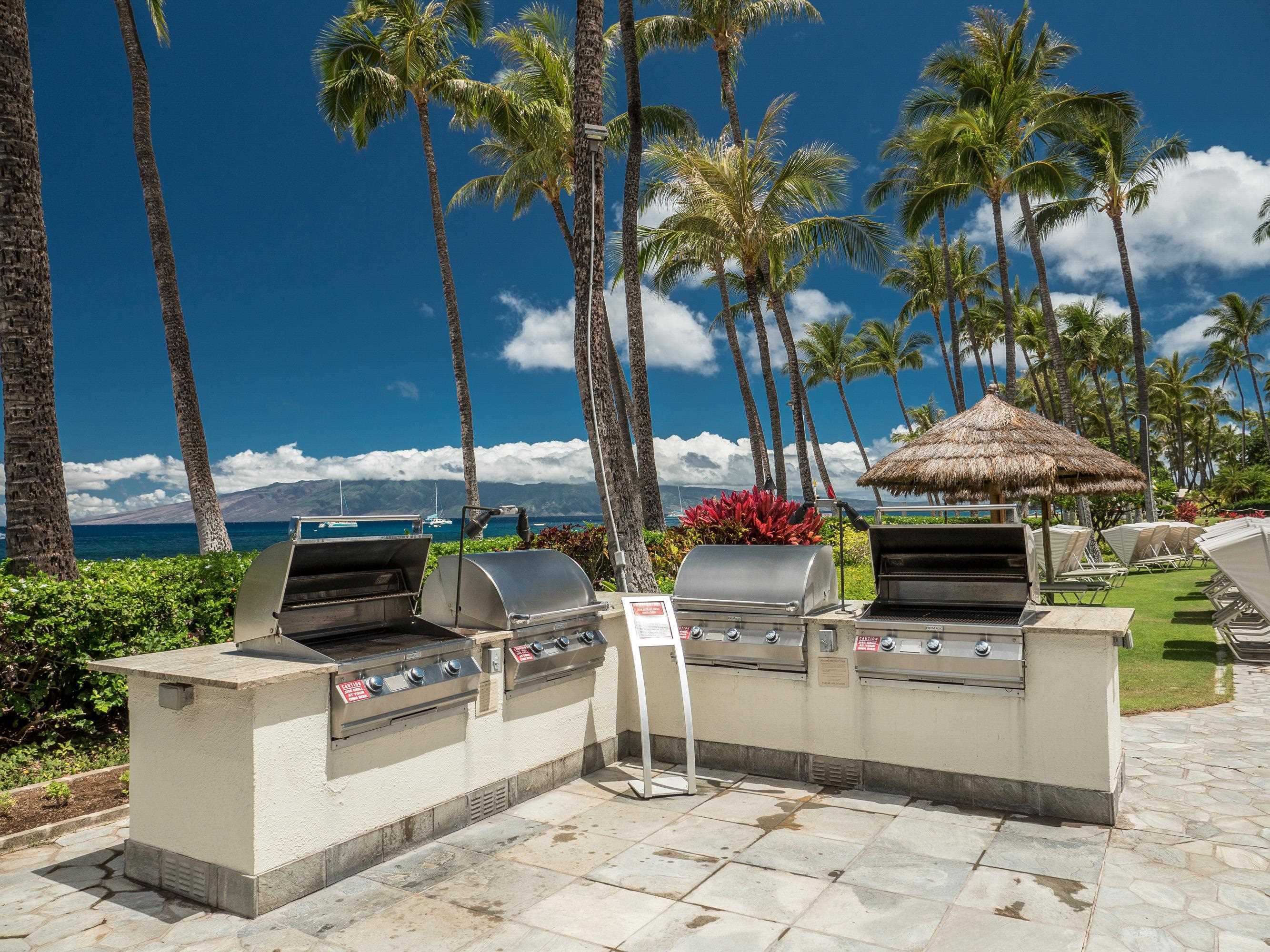 Kaanapali Alii — photo 23