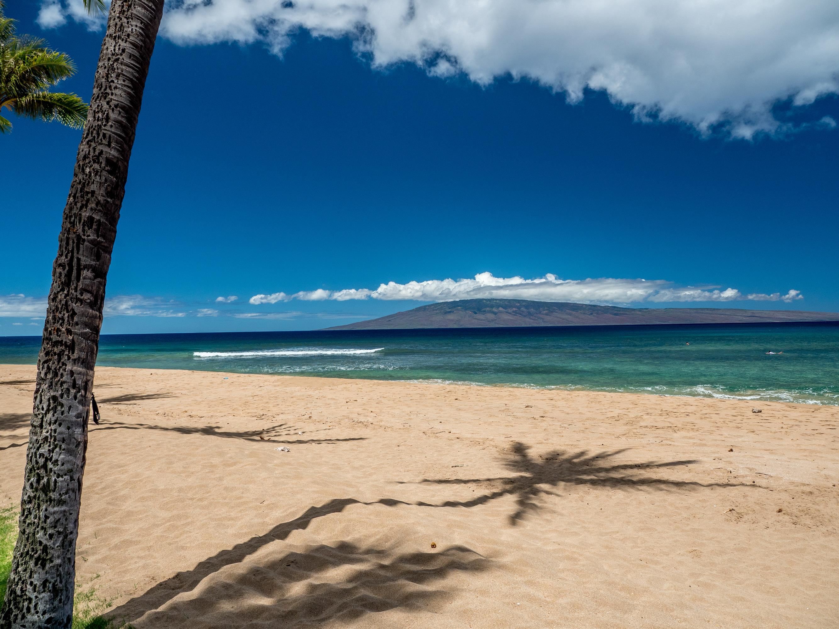 Kaanapali Alii — photo 27