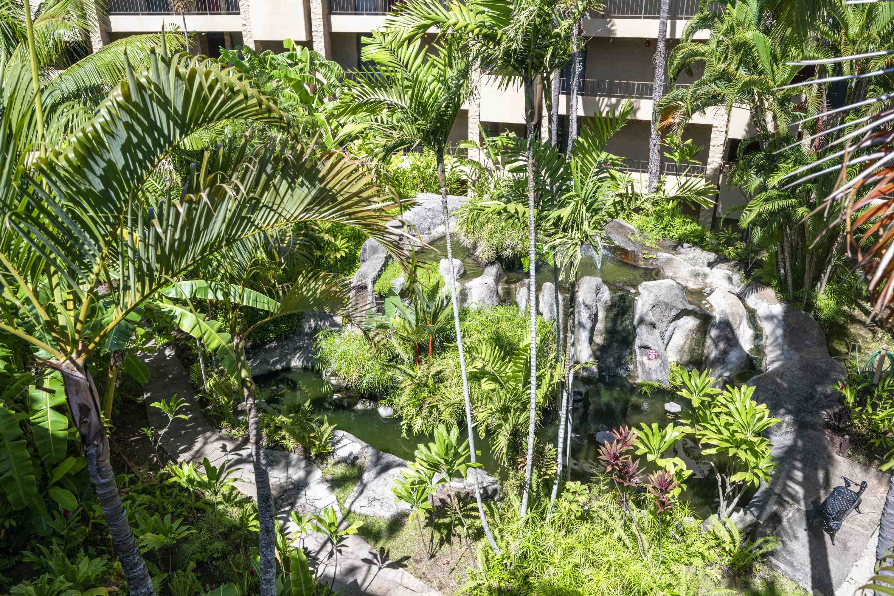 Paki Maui — photo 20