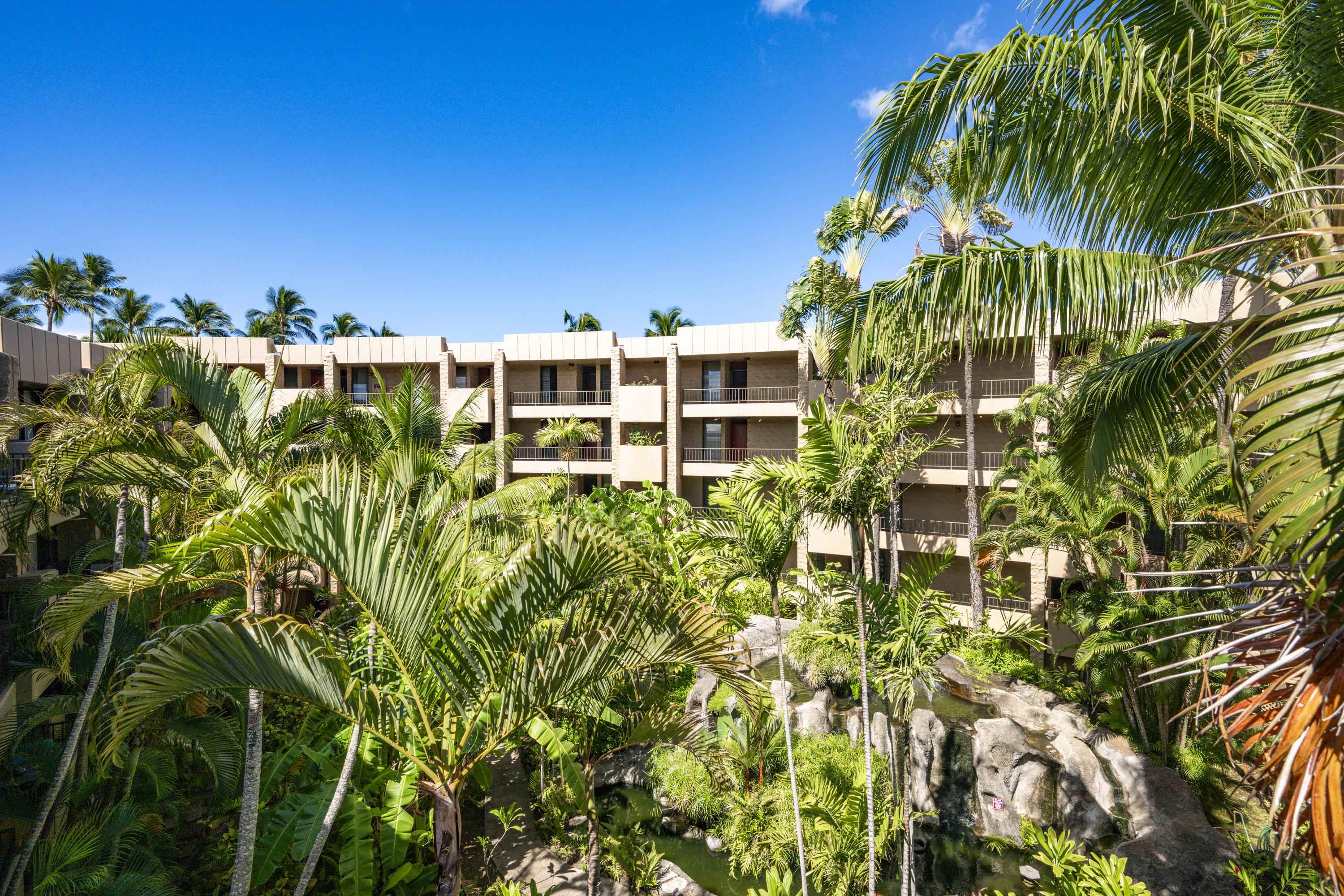 Paki Maui — photo 21