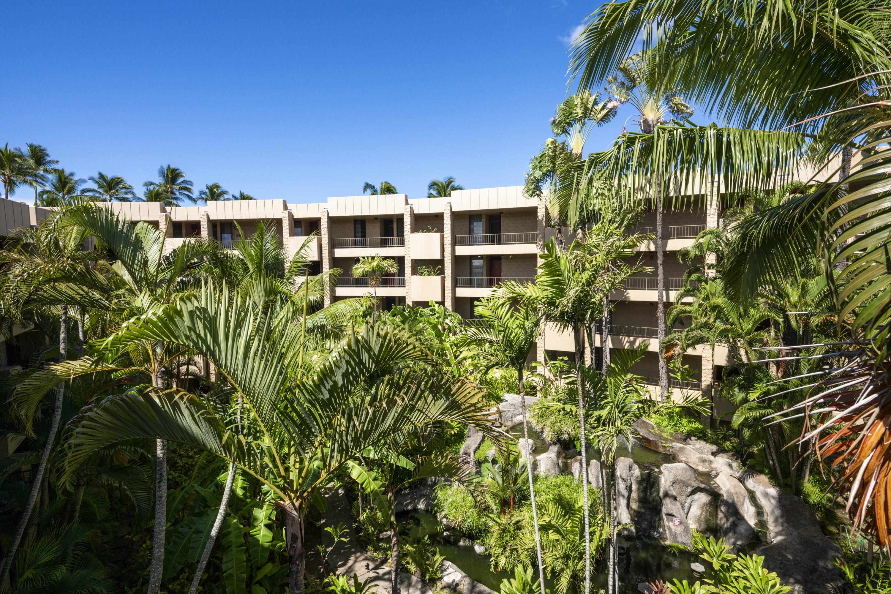 Paki Maui — photo 23