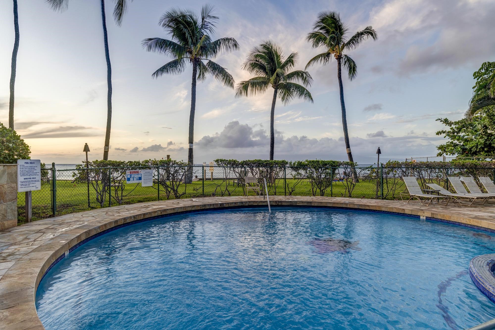 Paki Maui — photo 30