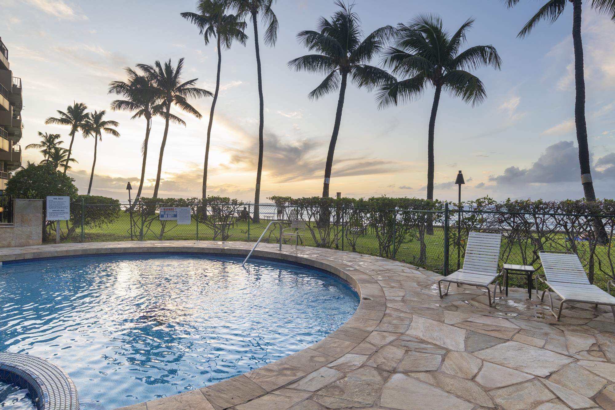 Paki Maui — photo 31