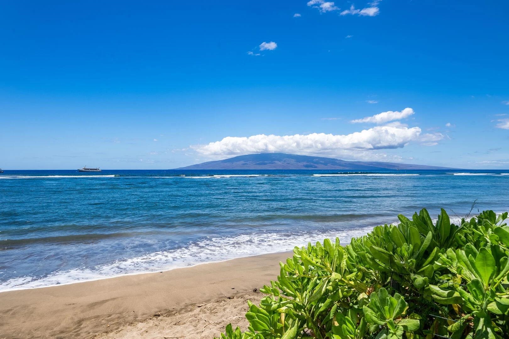 Lahaina Shores — photo 24