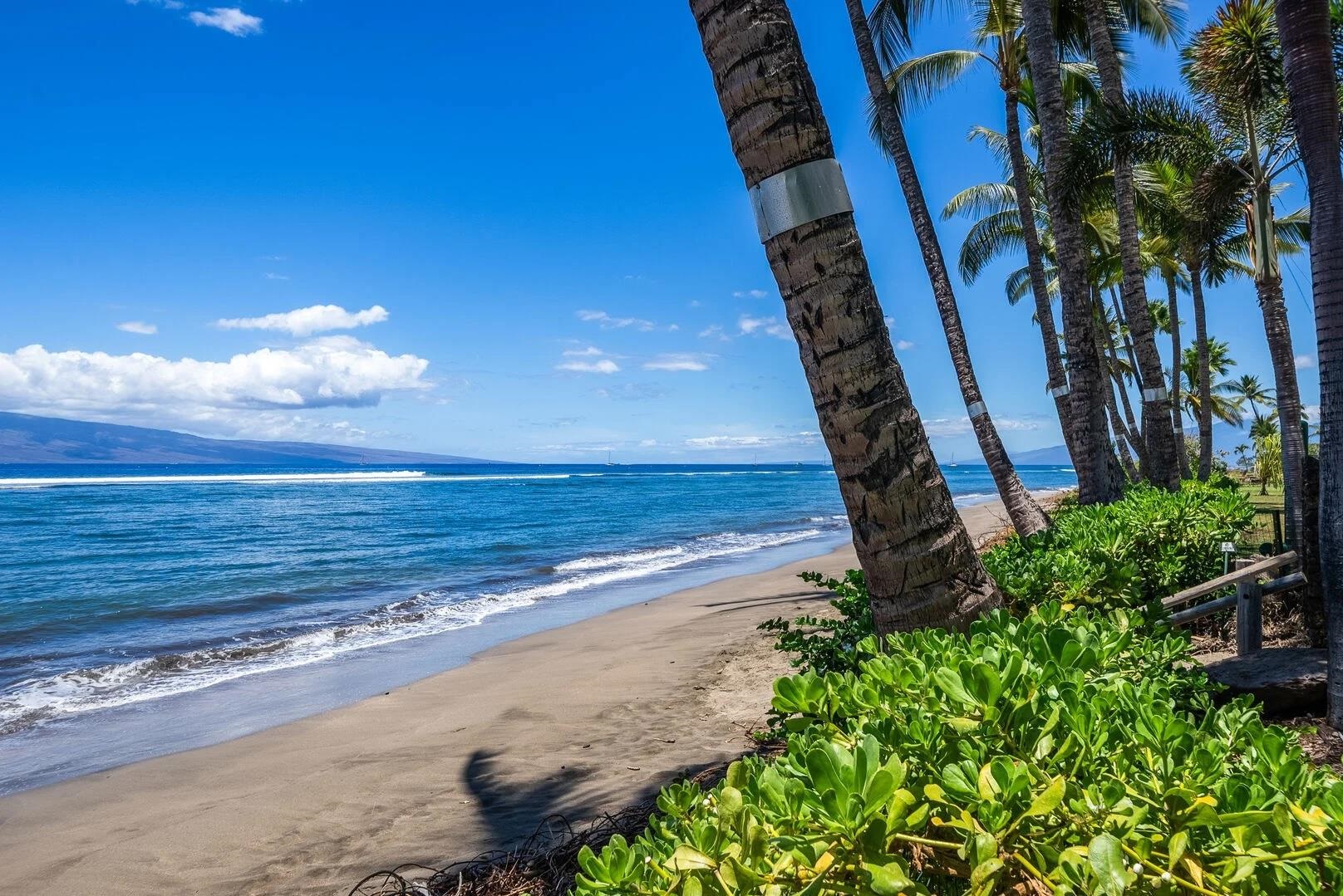 Lahaina Shores — photo 7