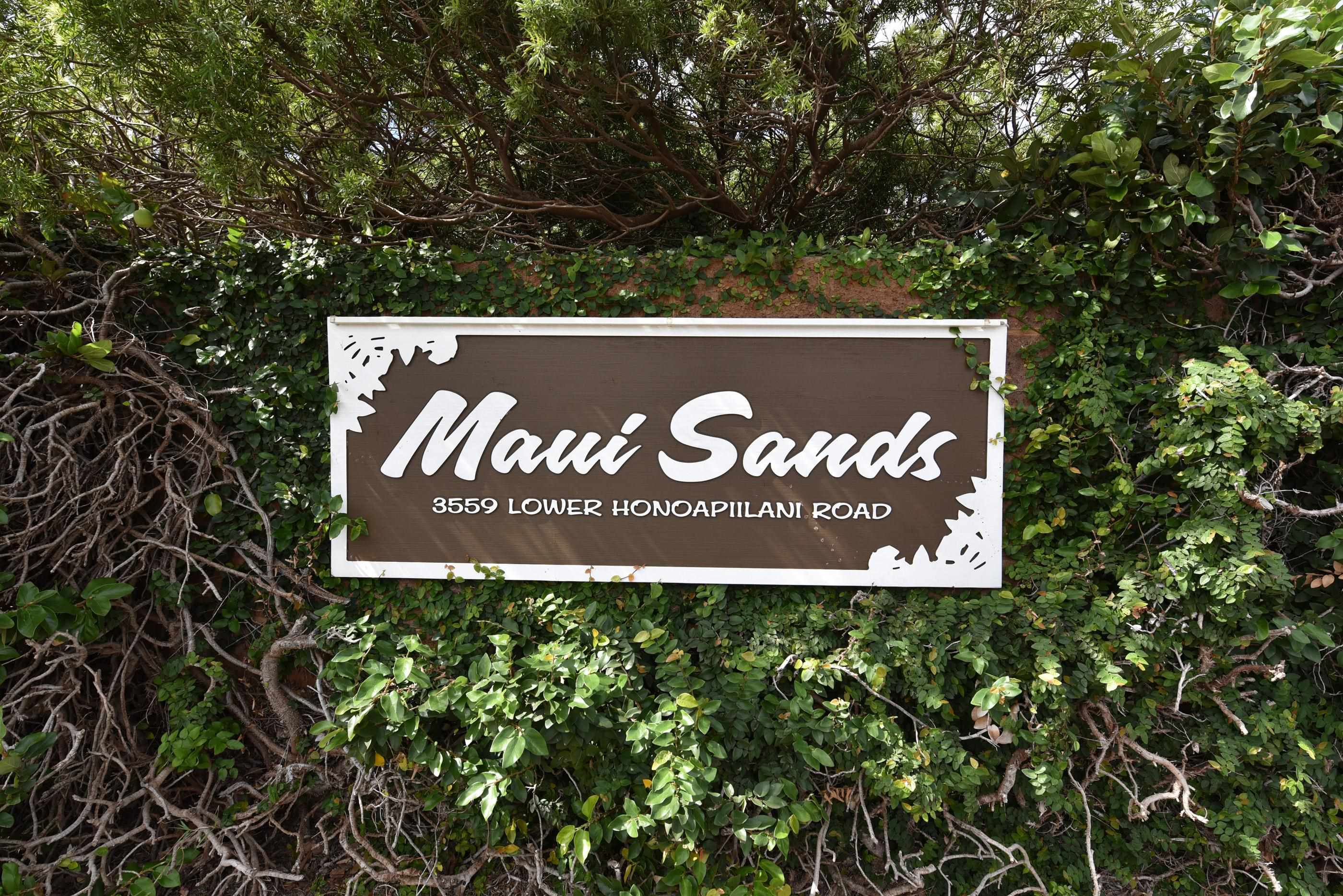 Maui Sands I — photo 26