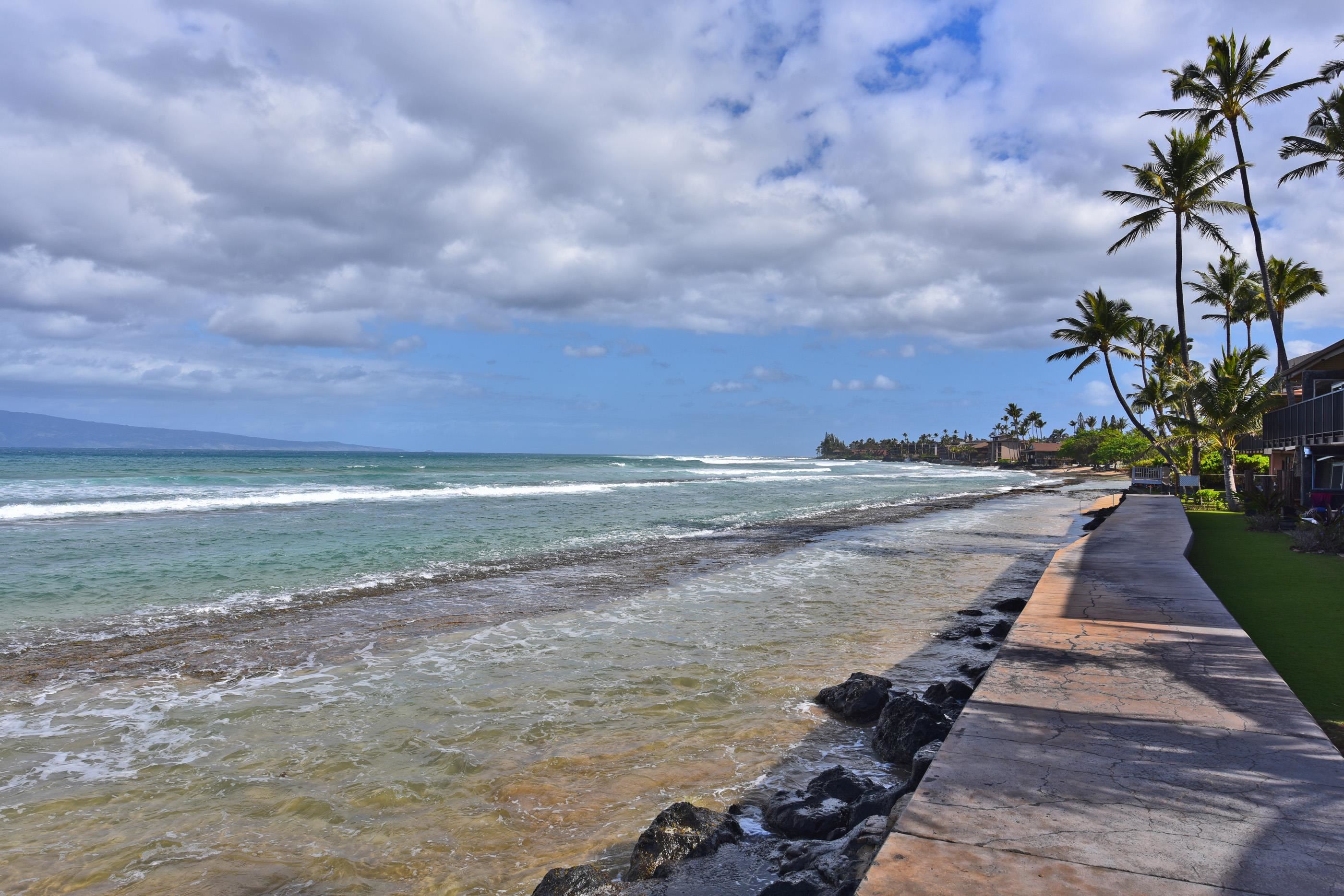 Maui Sands I — photo 29