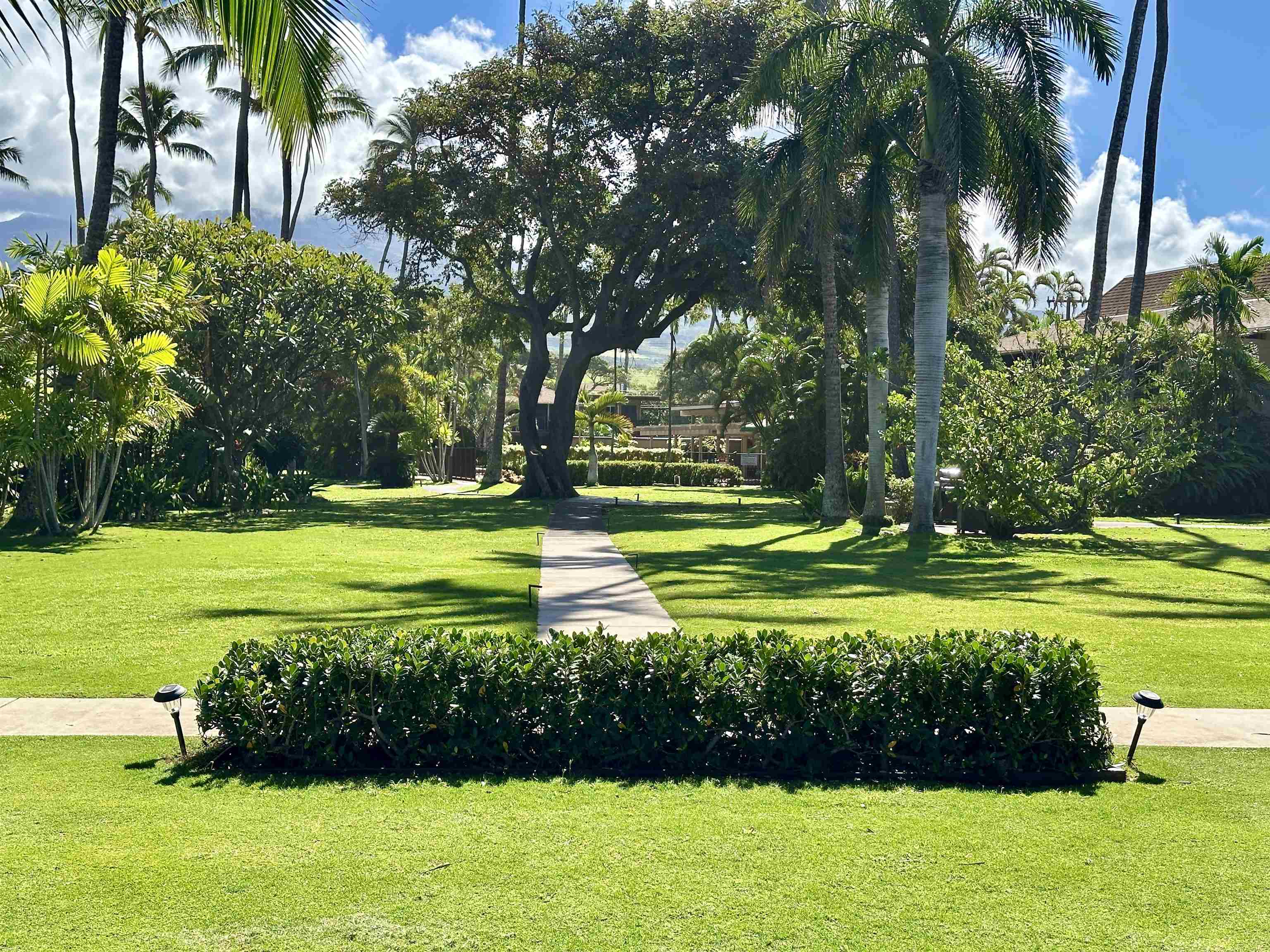 Maui Sands I — photo 34