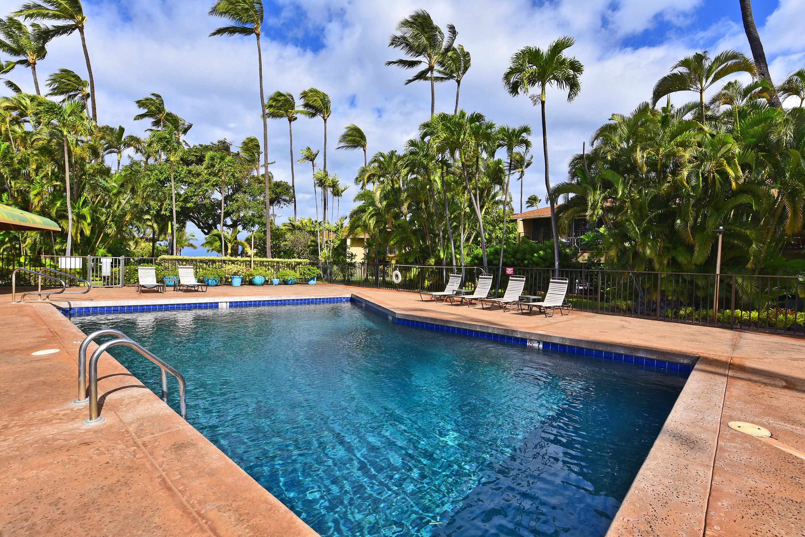 Maui Sands I — photo 36