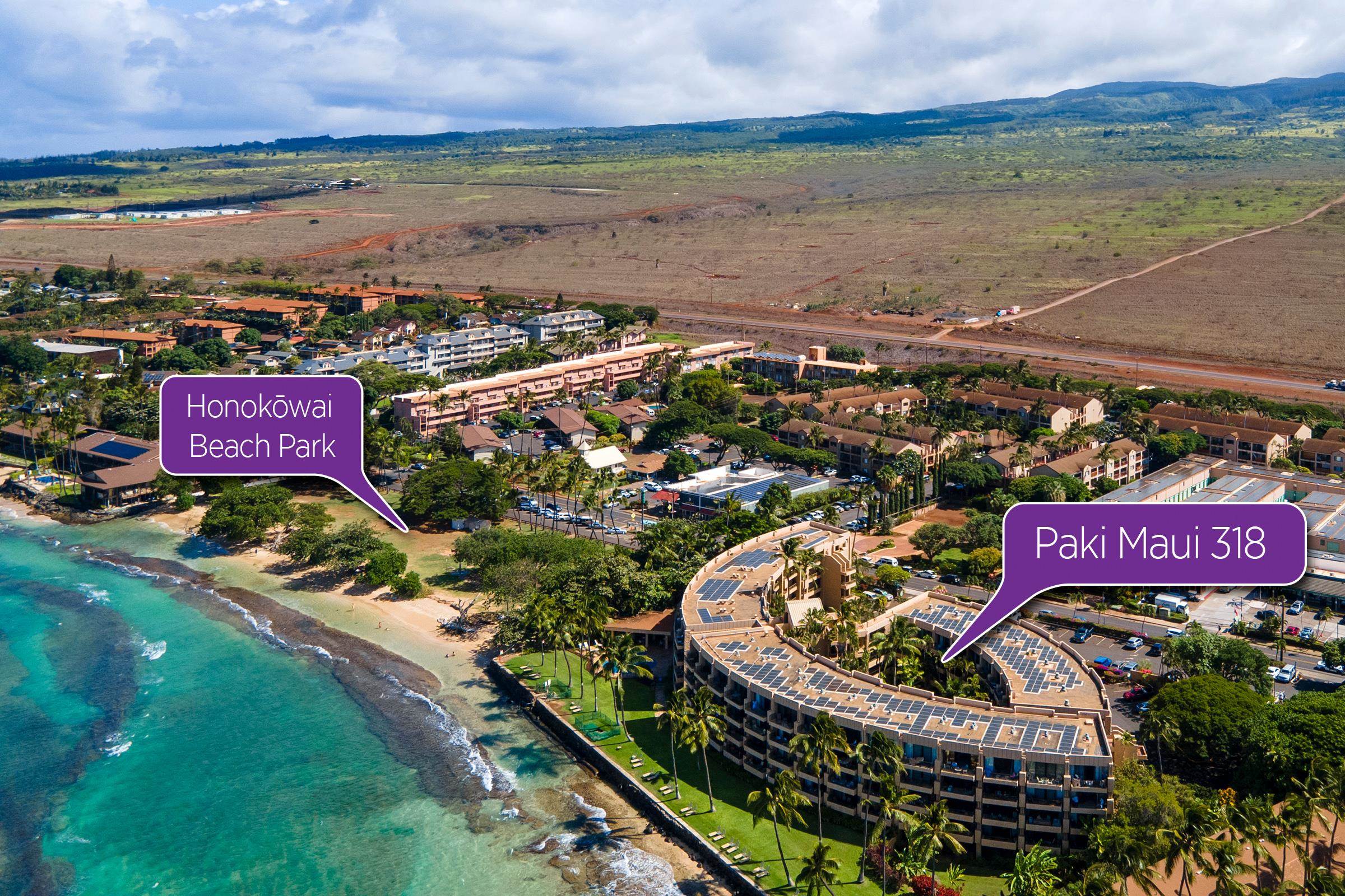 Paki Maui — photo 17