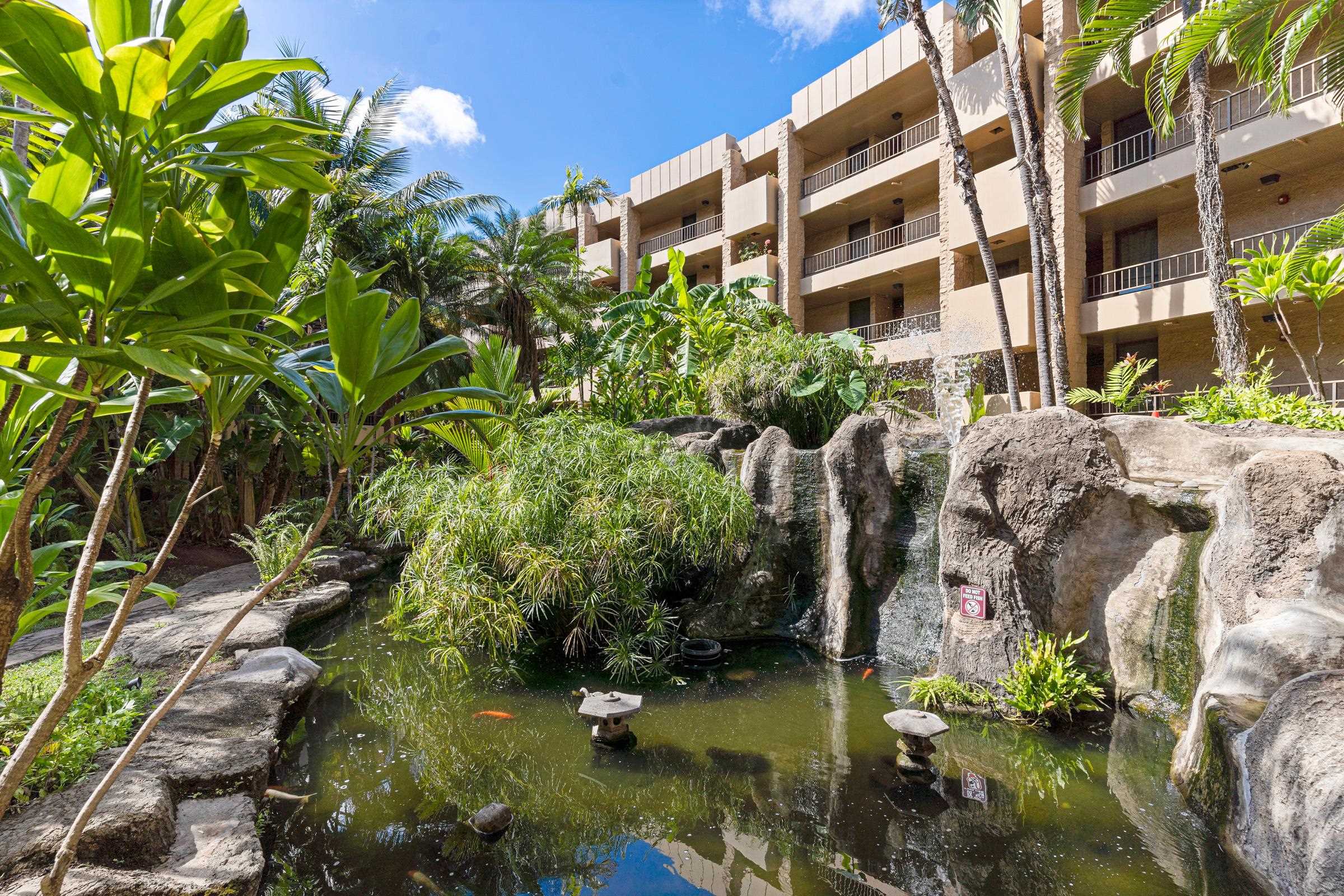 Paki Maui — photo 27