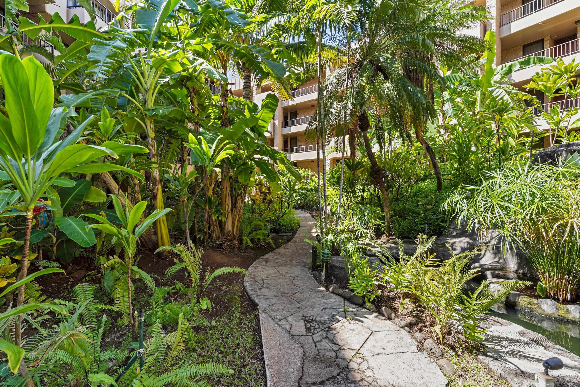 Paki Maui — photo 29