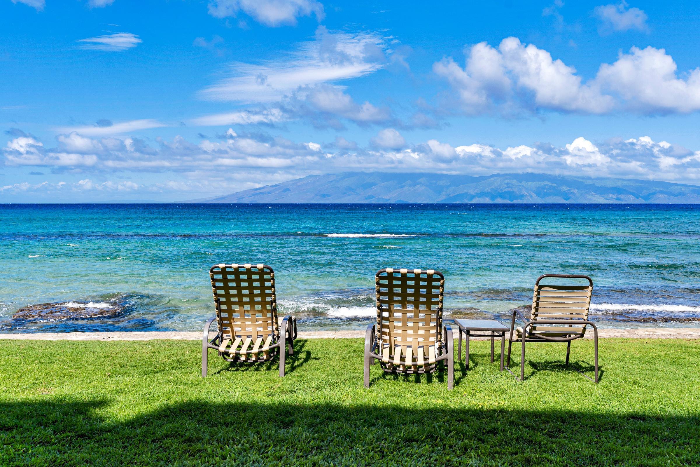 Paki Maui — photo 4