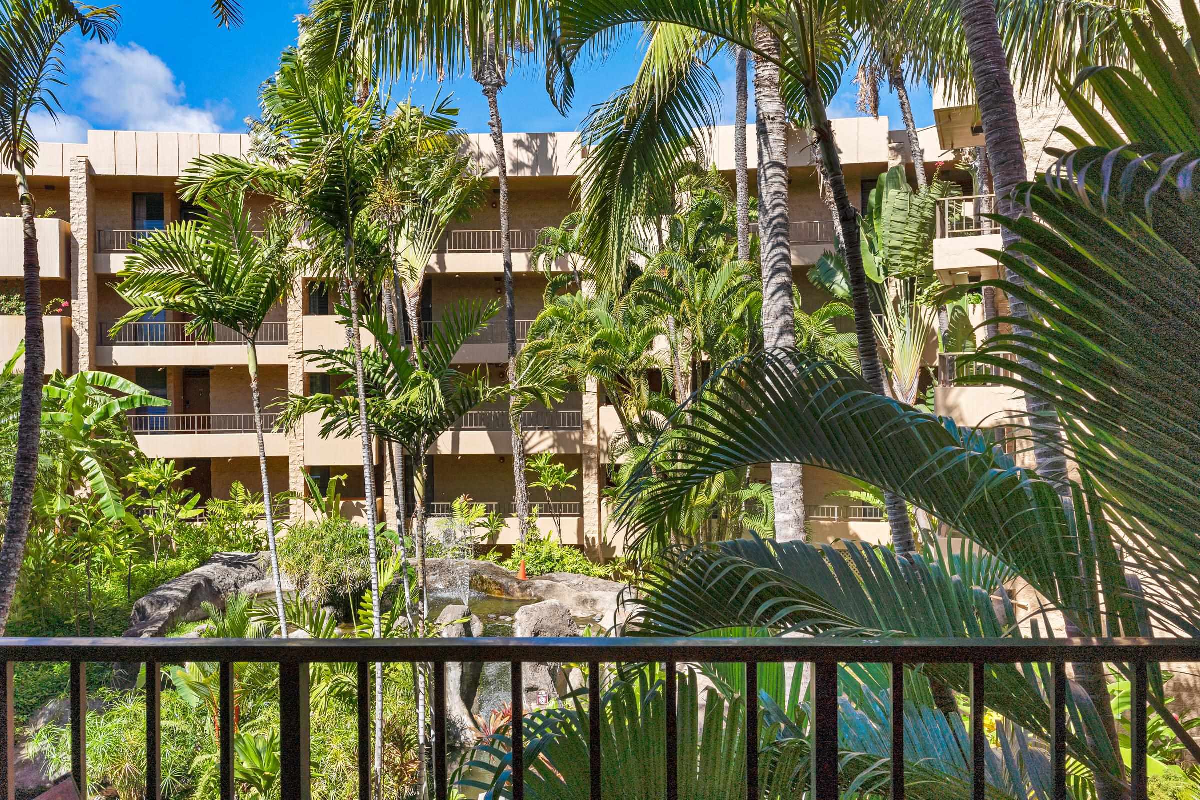 Paki Maui — photo 8