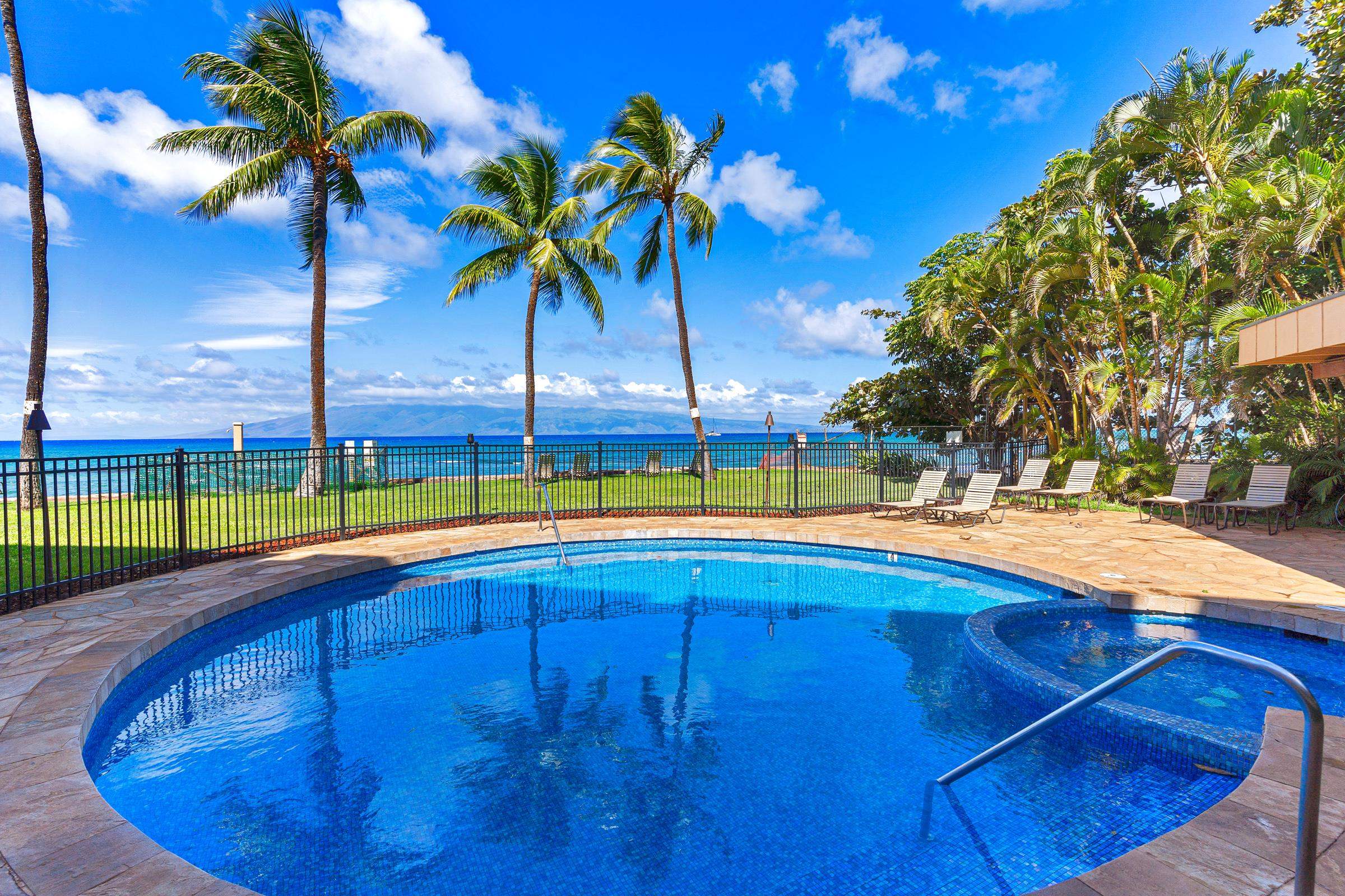 Paki Maui — photo 9