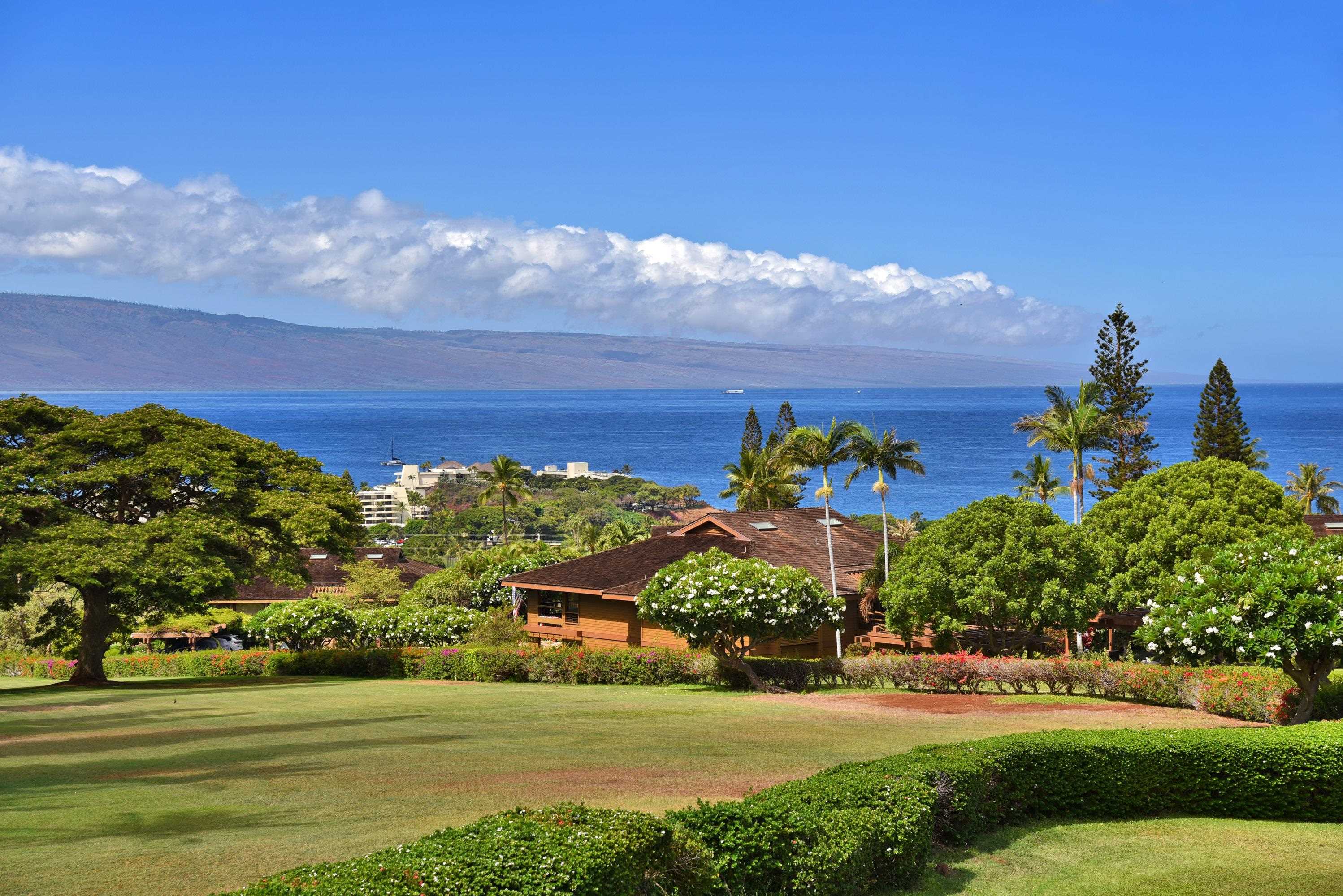 Masters — photo 24