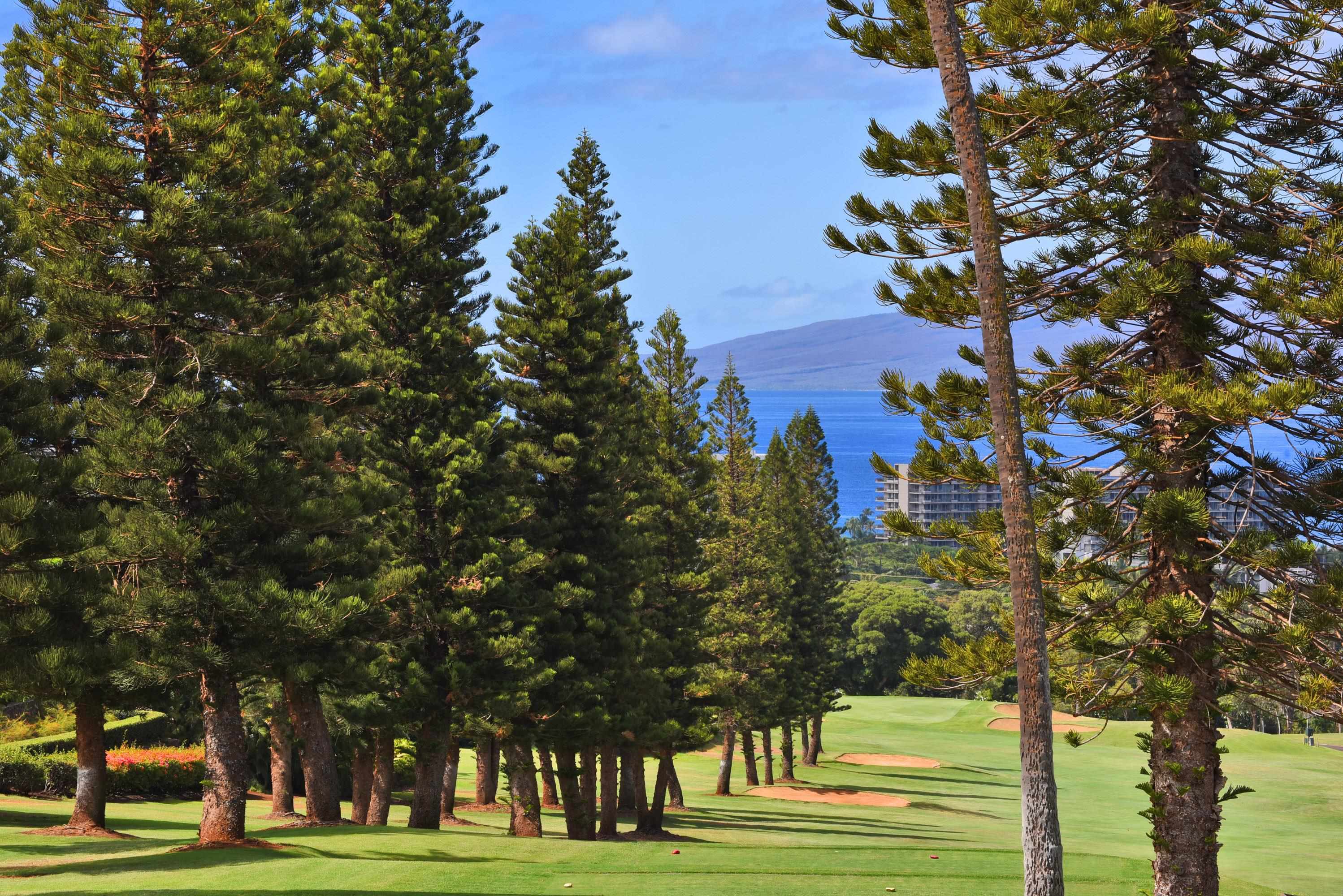 Masters — photo 10