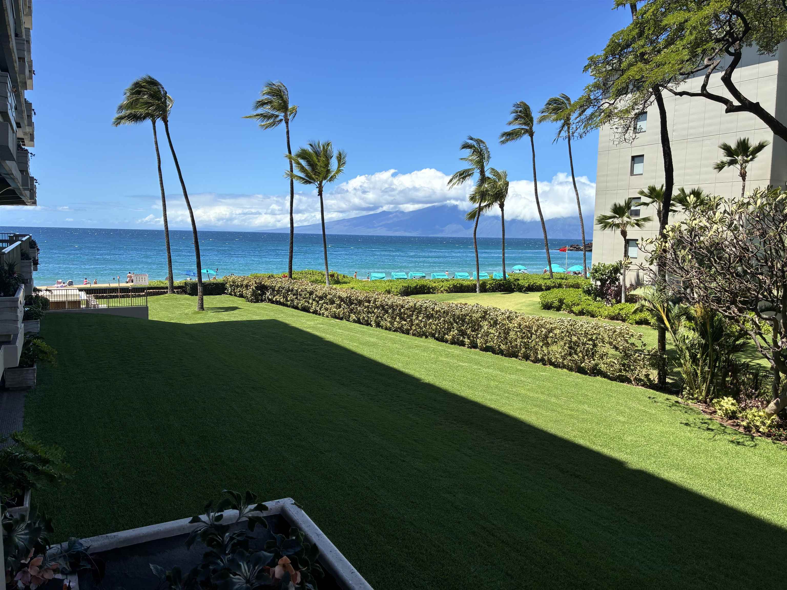 Whaler I — photo 2