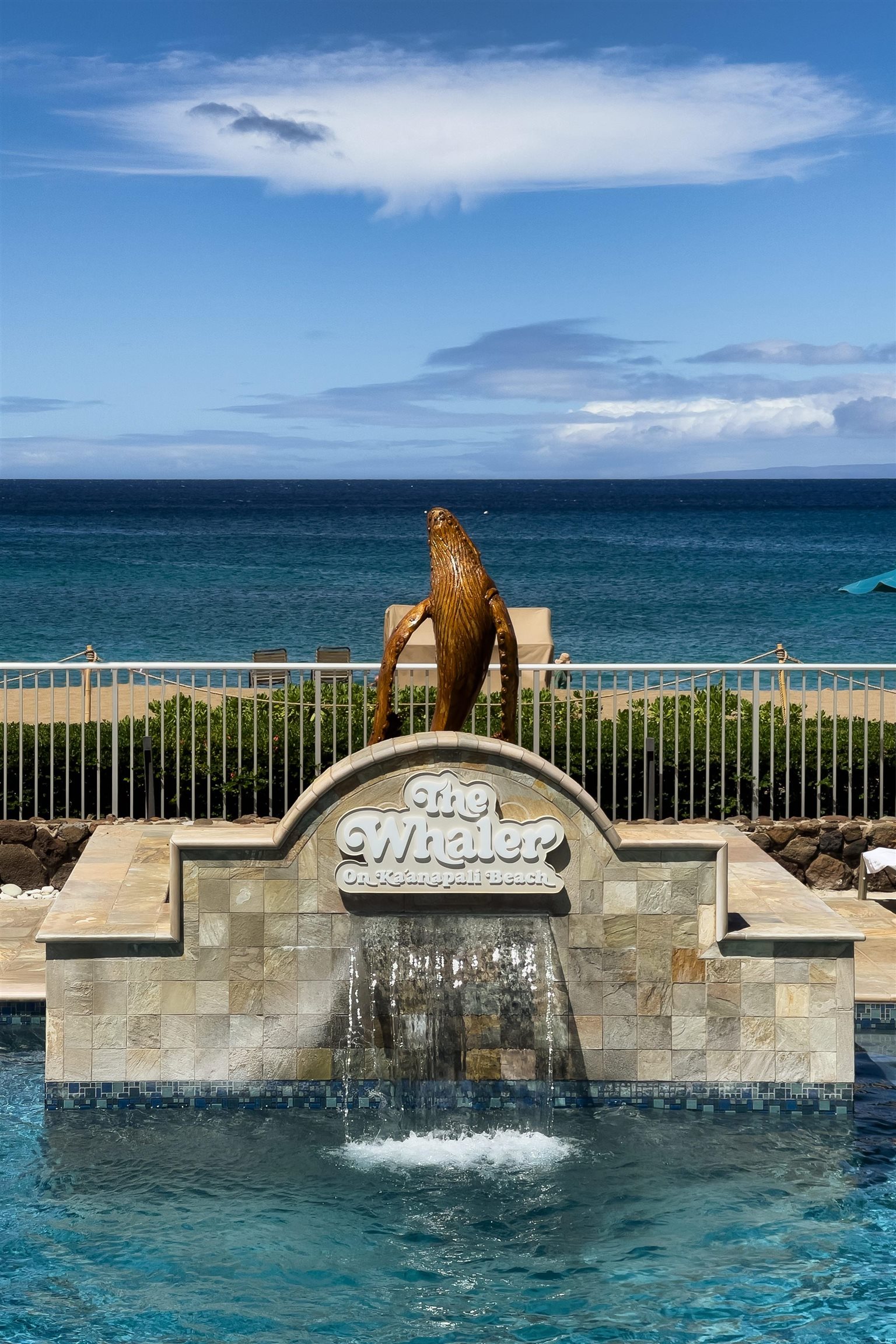 Whaler I — photo 20