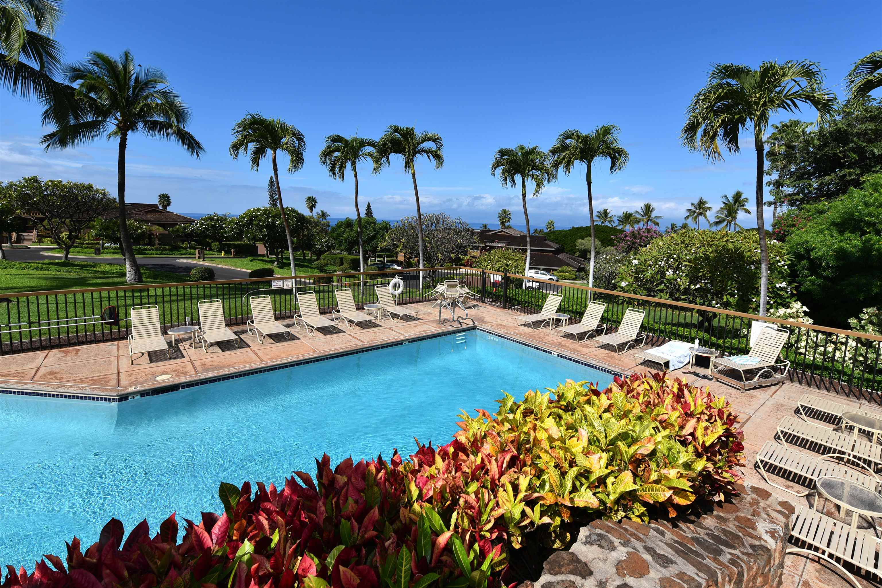 Masters — photo 36