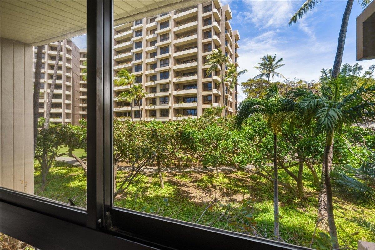 Kaanapali Alii — photo 31