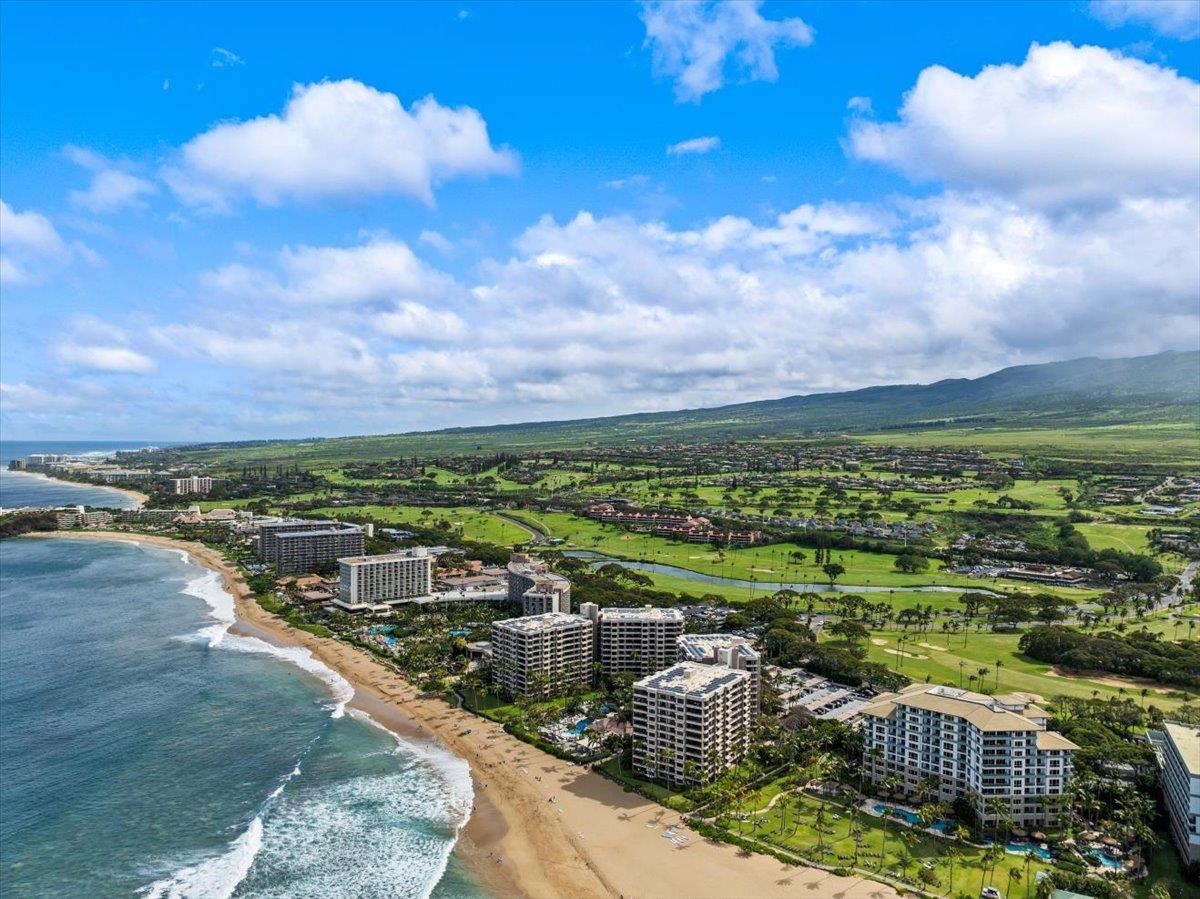 Kaanapali Alii — photo 43