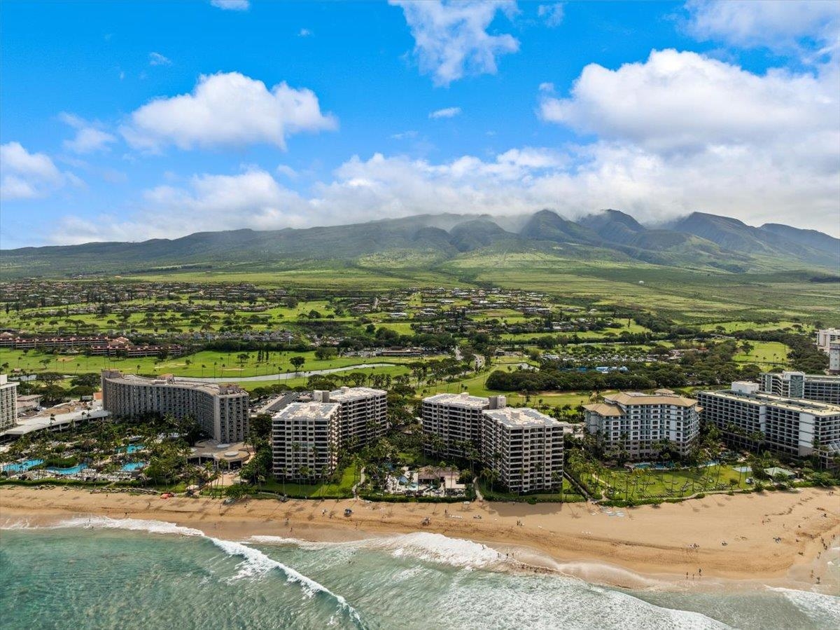 Kaanapali Alii — photo 44