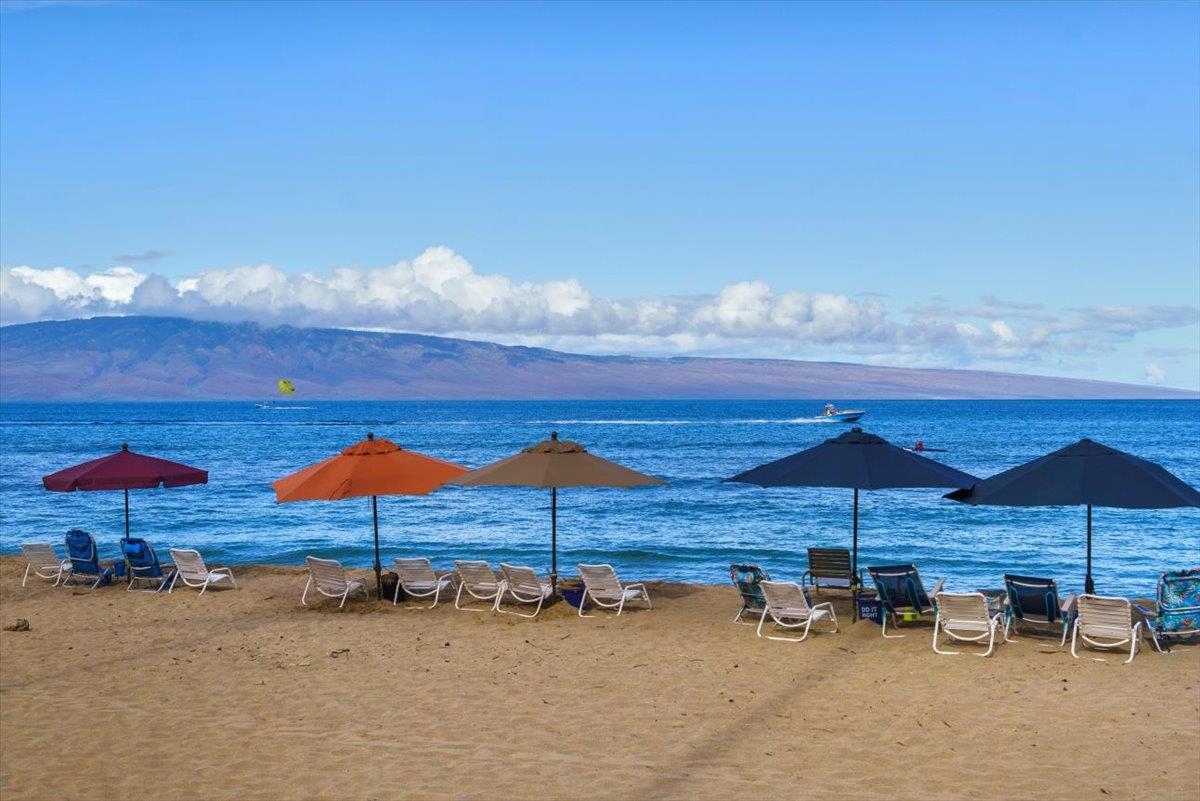 Kaanapali Alii — photo 46