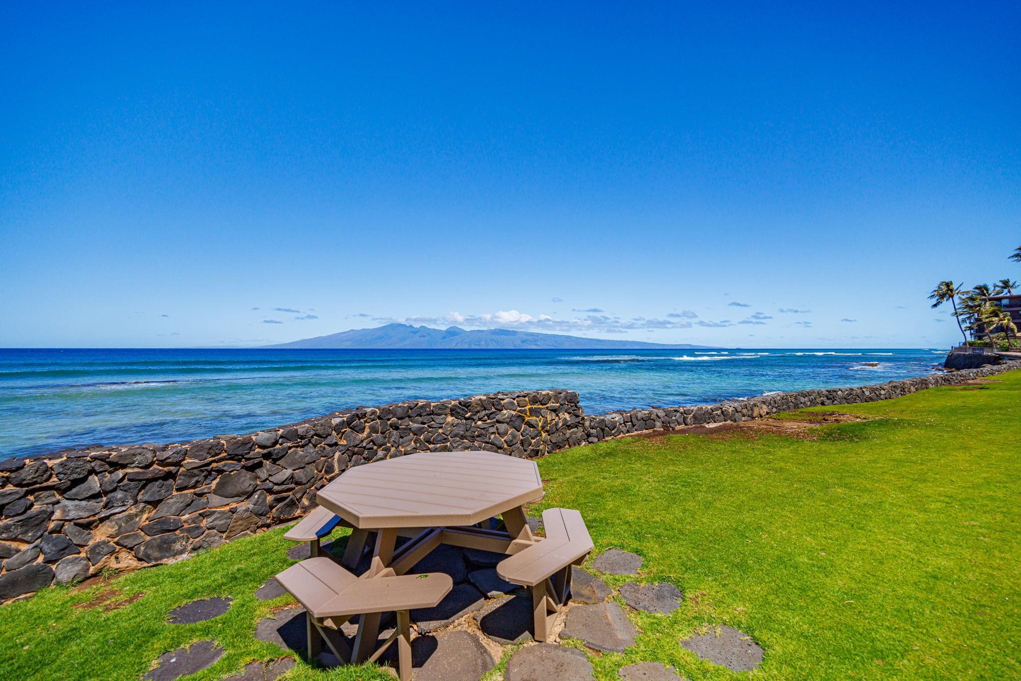 Kaleialoha — Kaleialoha, Napili/Kahana/Honokowai — property photo 7 of 39