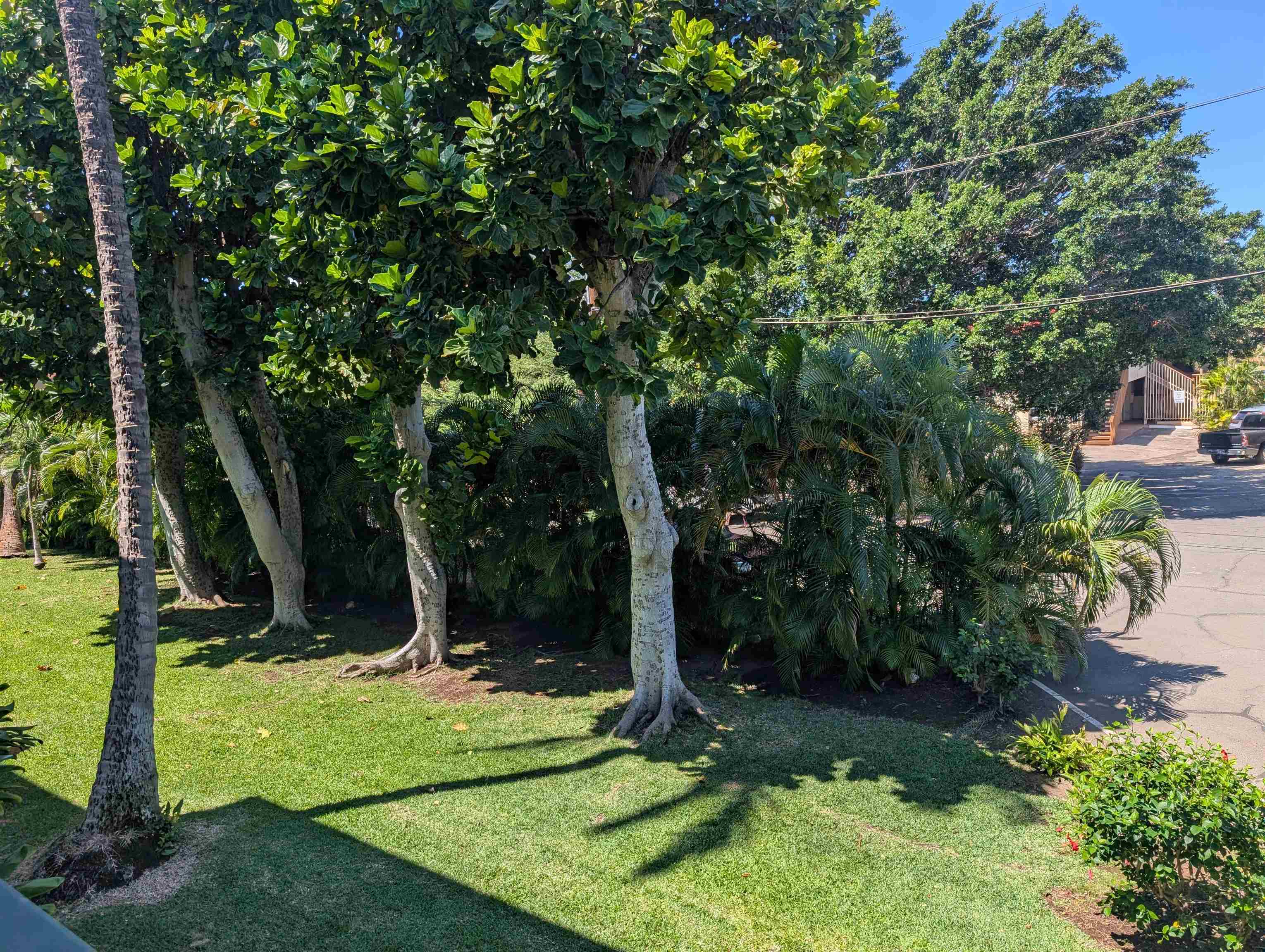 35 Walaka St UNIT&nbsp;L208, Kihei, HI, 96753