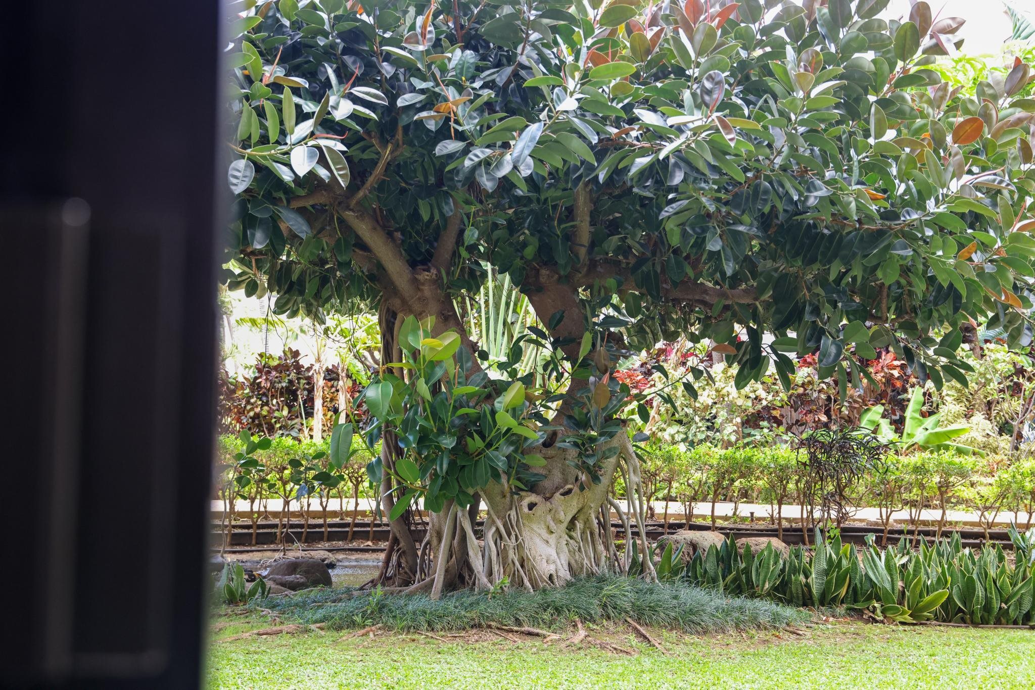 Kaanapali Shores — Kaanapali Shores, Kaanapali — property photo 22 of 38