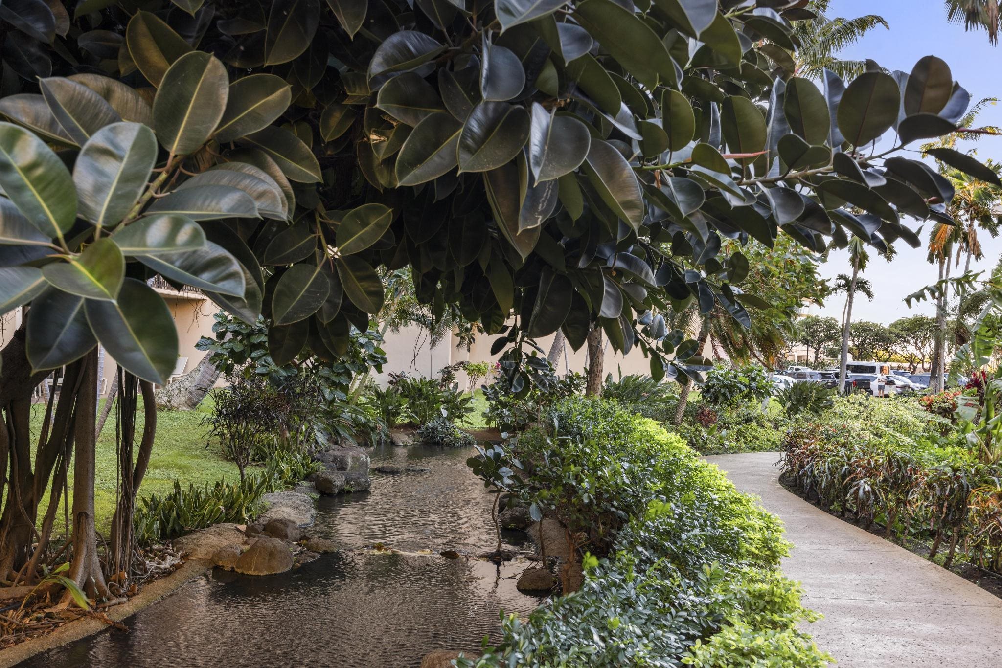 Kaanapali Shores — Kaanapali Shores, Kaanapali — property photo 30 of 38