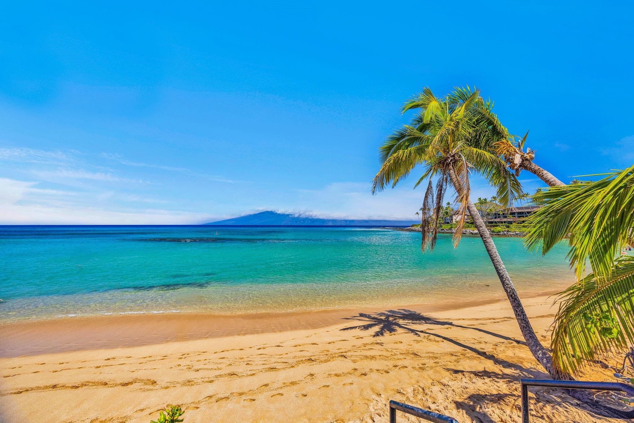 <p><b>Shop For New Homes in Maui</b></p>