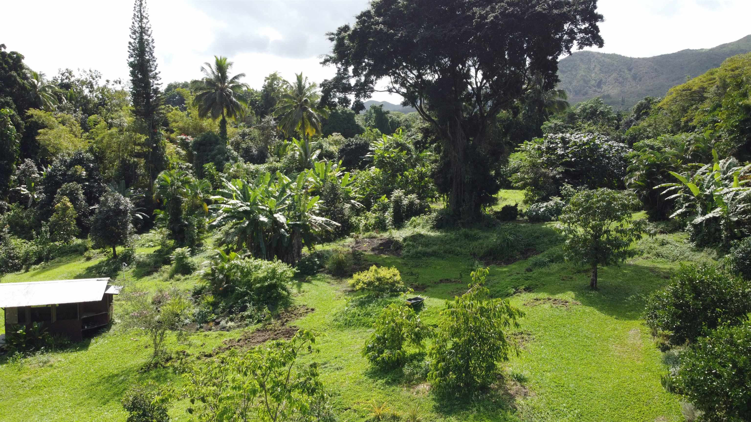 315 Uwala Rd, Hana, HI, 96713