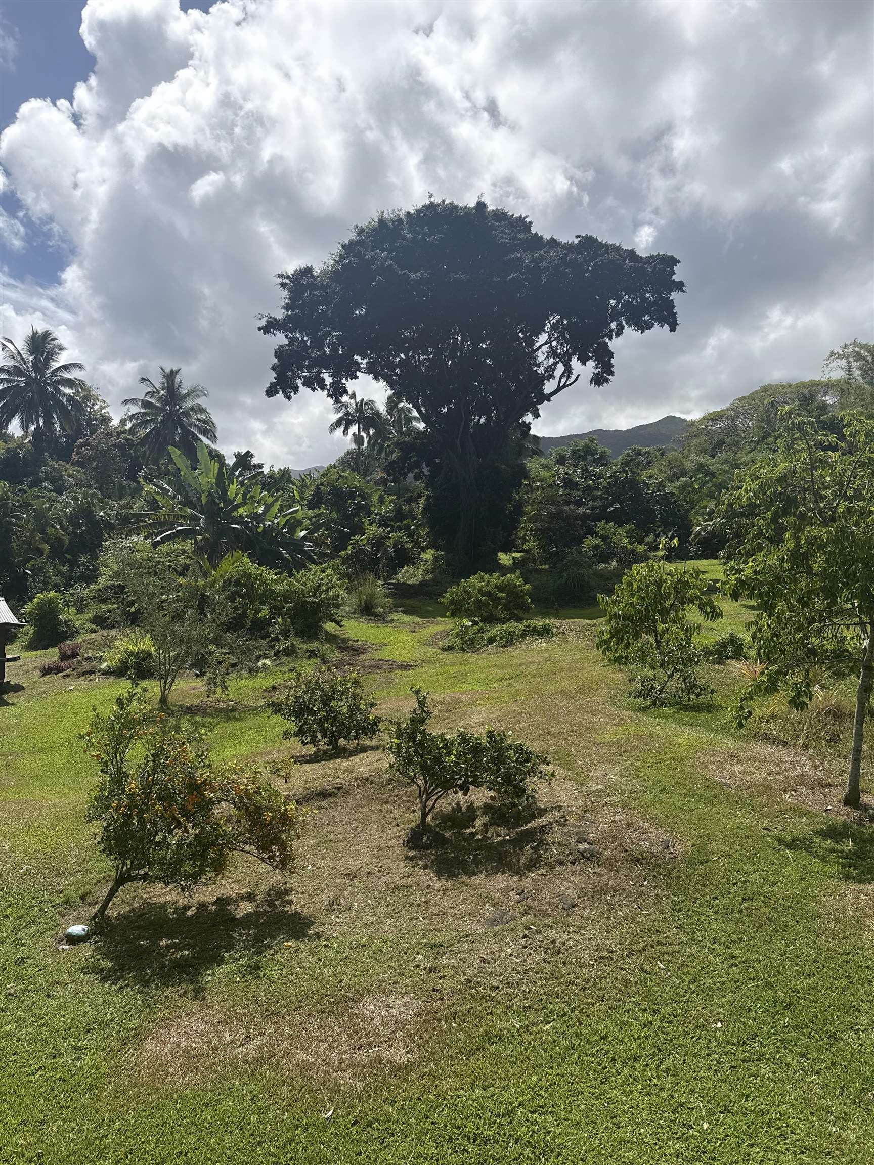 315 Uwala Rd, Hana, HI, 96713