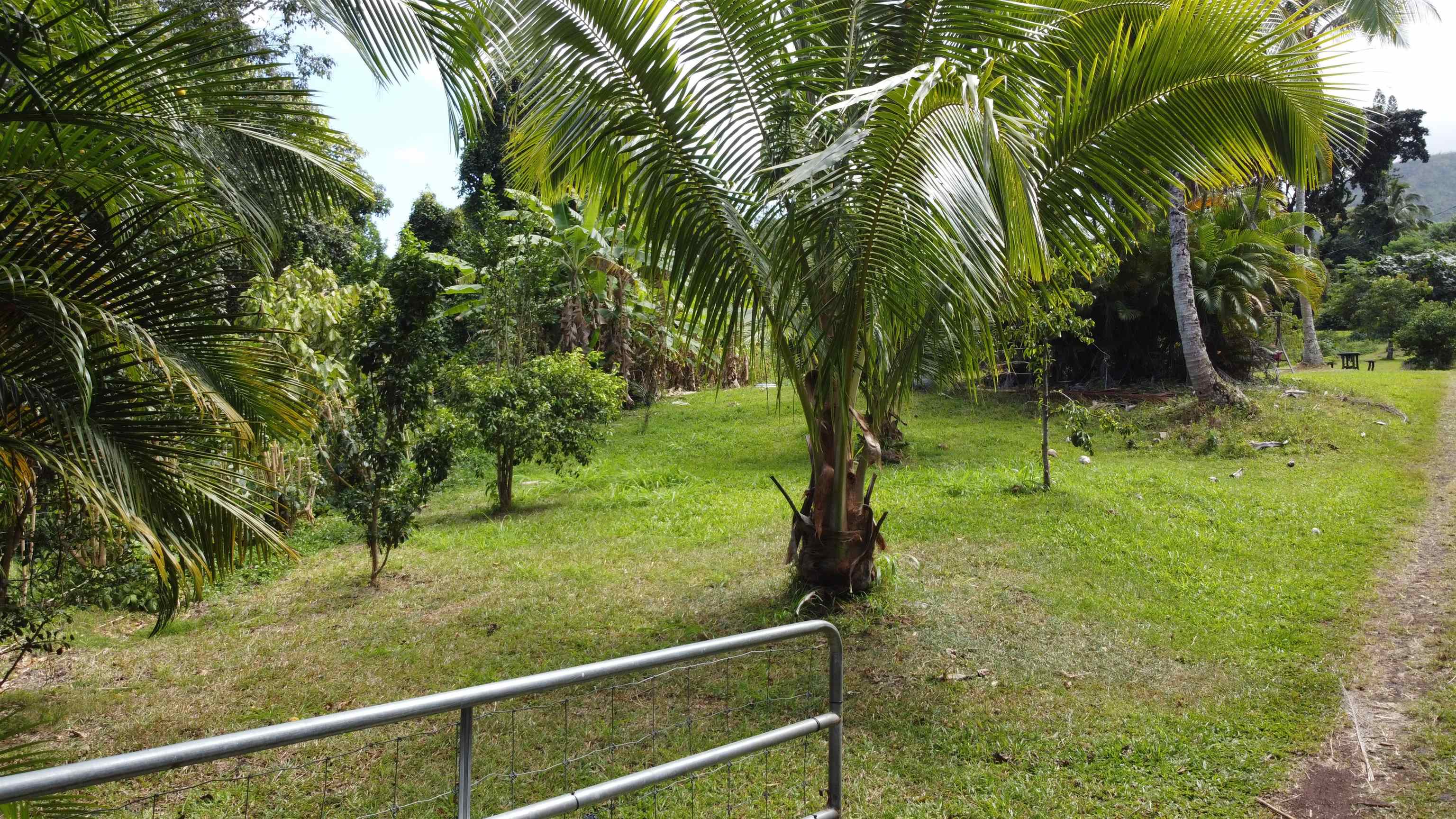 315 Uwala Rd, Hana, HI, 96713