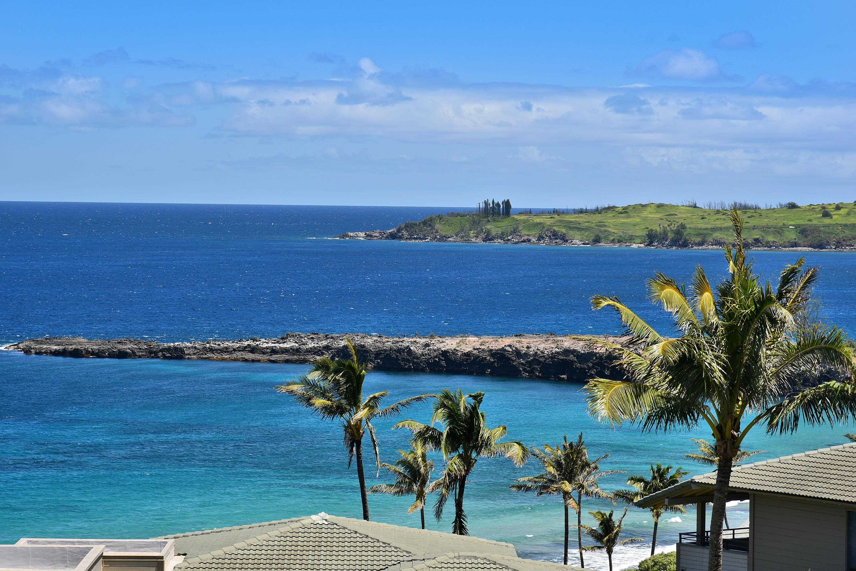 <p><b>Shop For New Homes in Maui</b></p>