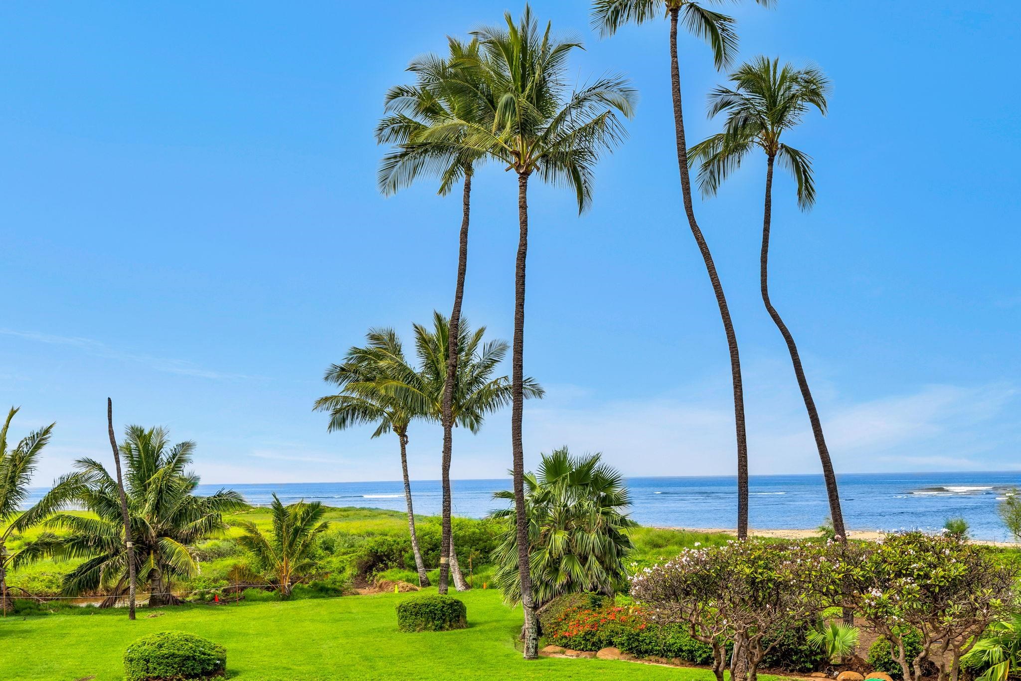 Kihei Condo · 1BR/1BA · $718,888