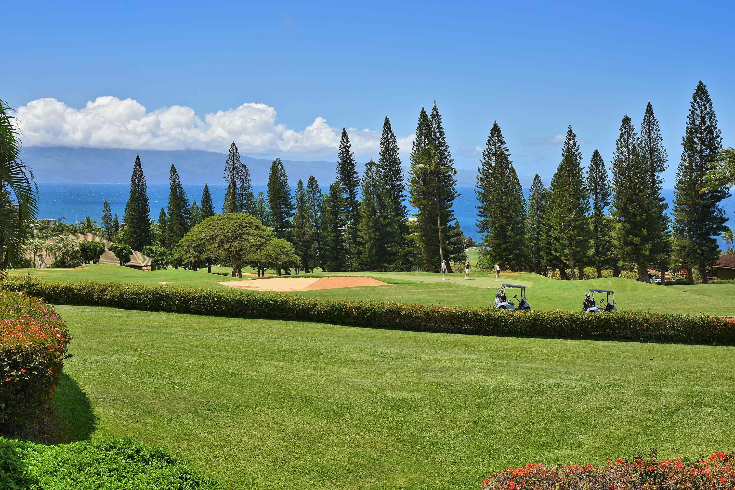 Maui Condos