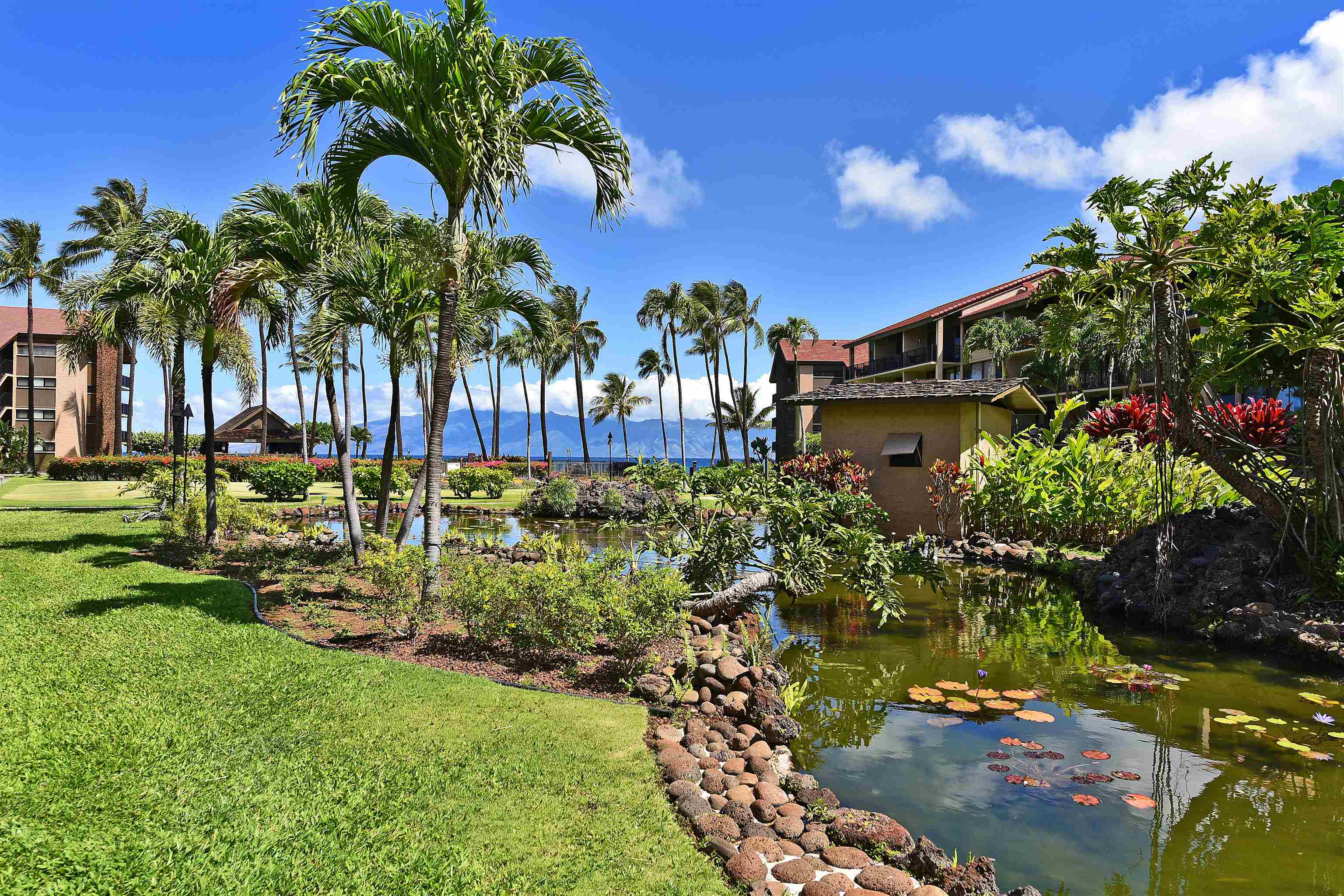 Maui Condos