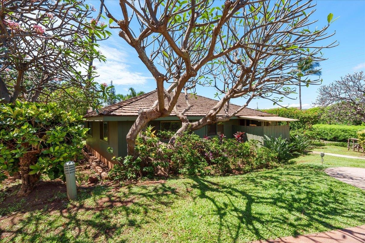 International Colony Club I — International Colony Club I, Kaanapali — property photo 32 of 36