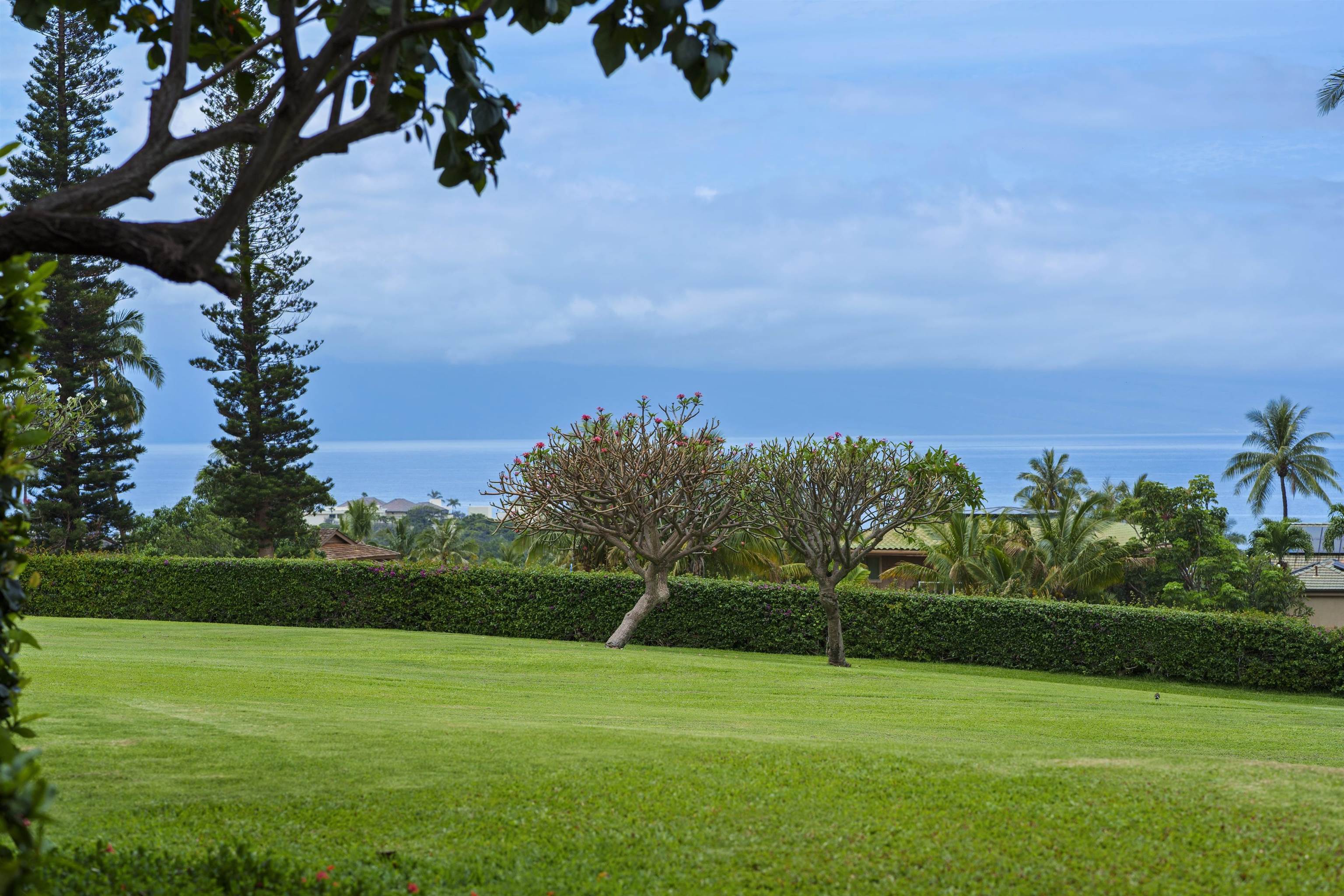 Masters — Masters, Kaanapali — property photo 25 of 49