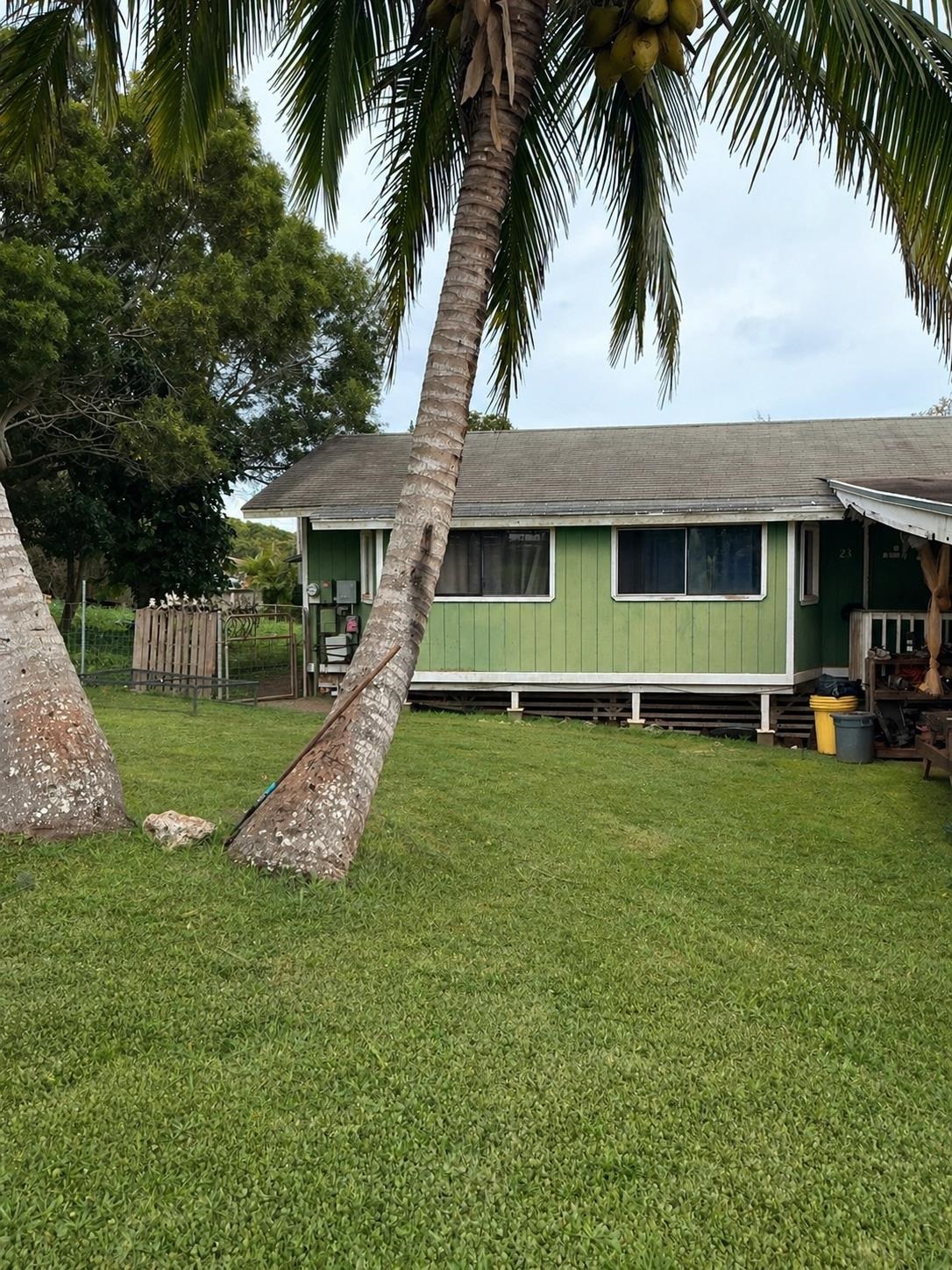 Image 10