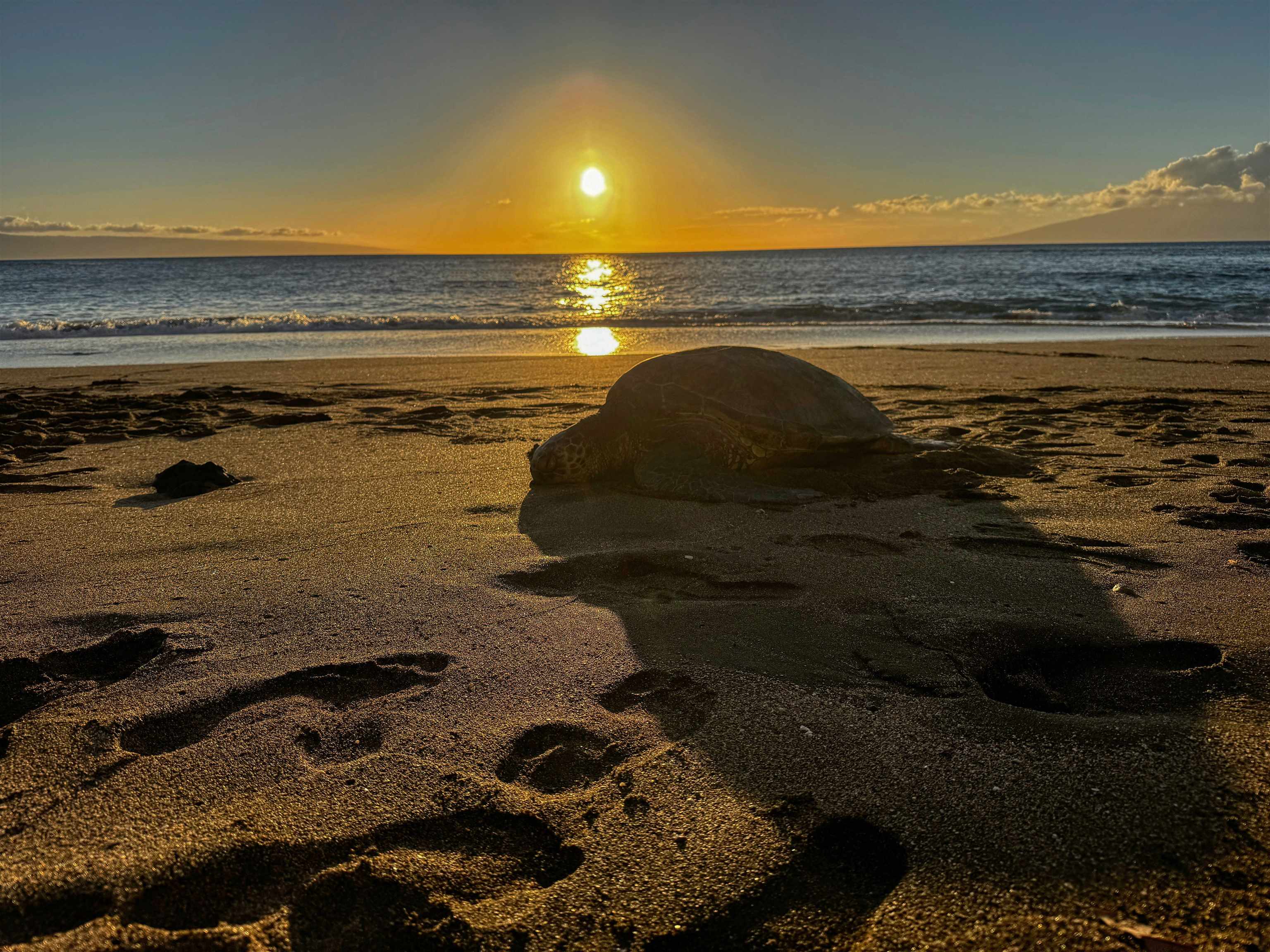 4435 Lower Honoapiilani UNIT&nbsp;119, Lahaina, HI, 96761-8304