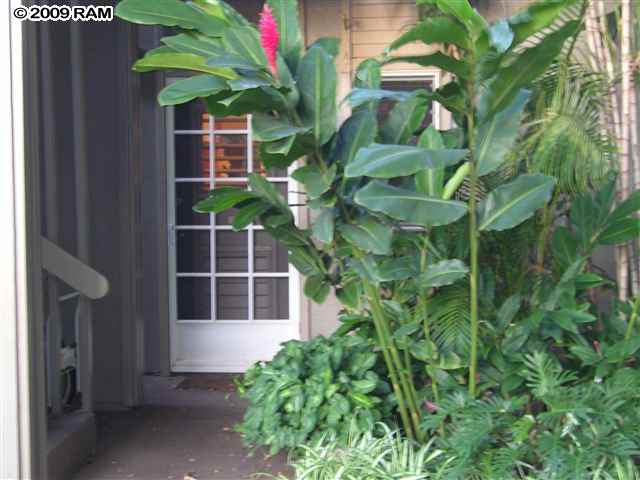 4435 Lower Honoapiilani UNIT&nbsp;119, Lahaina, HI, 96761-8304