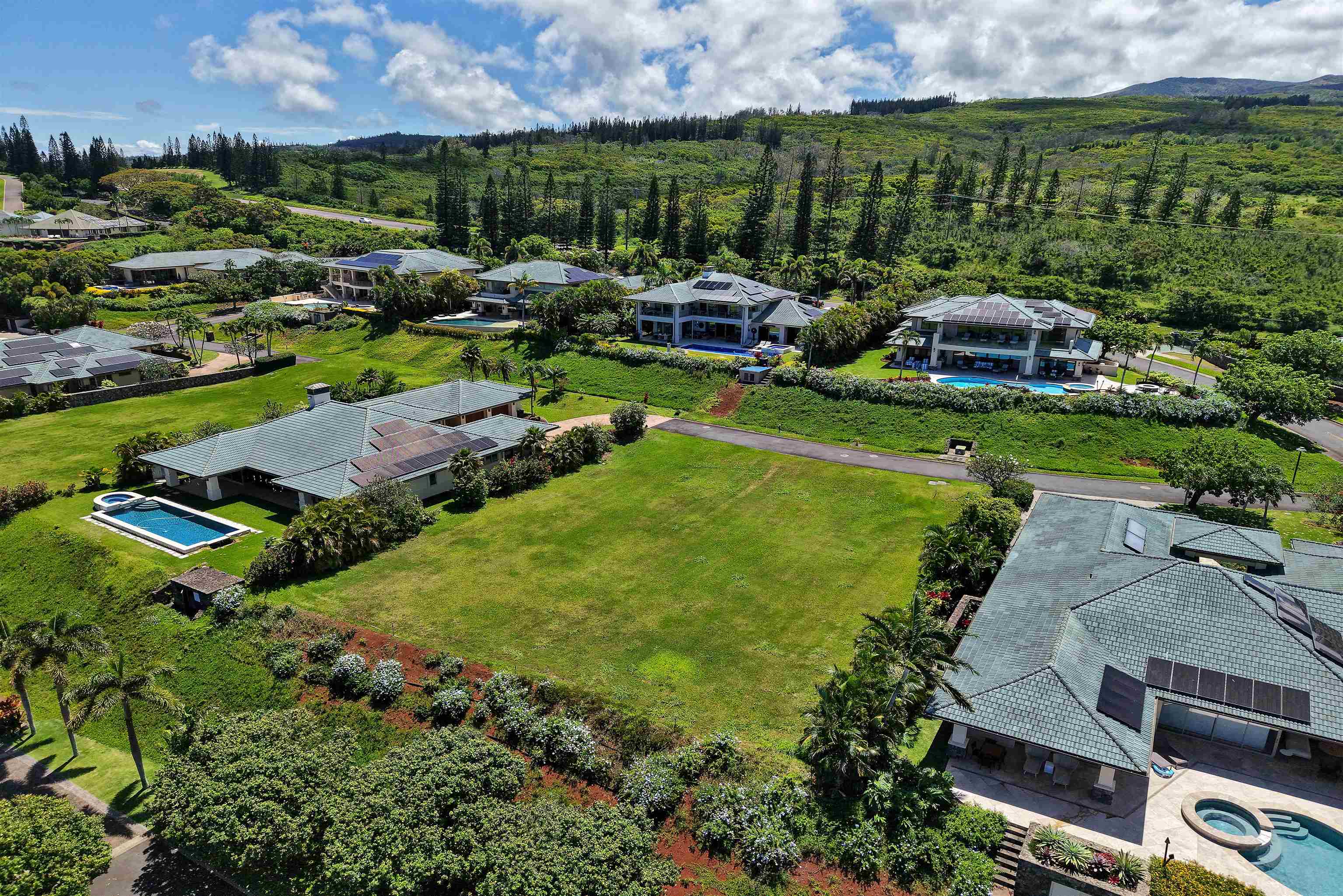 Pineapple Hill Estates — Pineapple Hill Estates, Kapalua — property photo 12 of 20