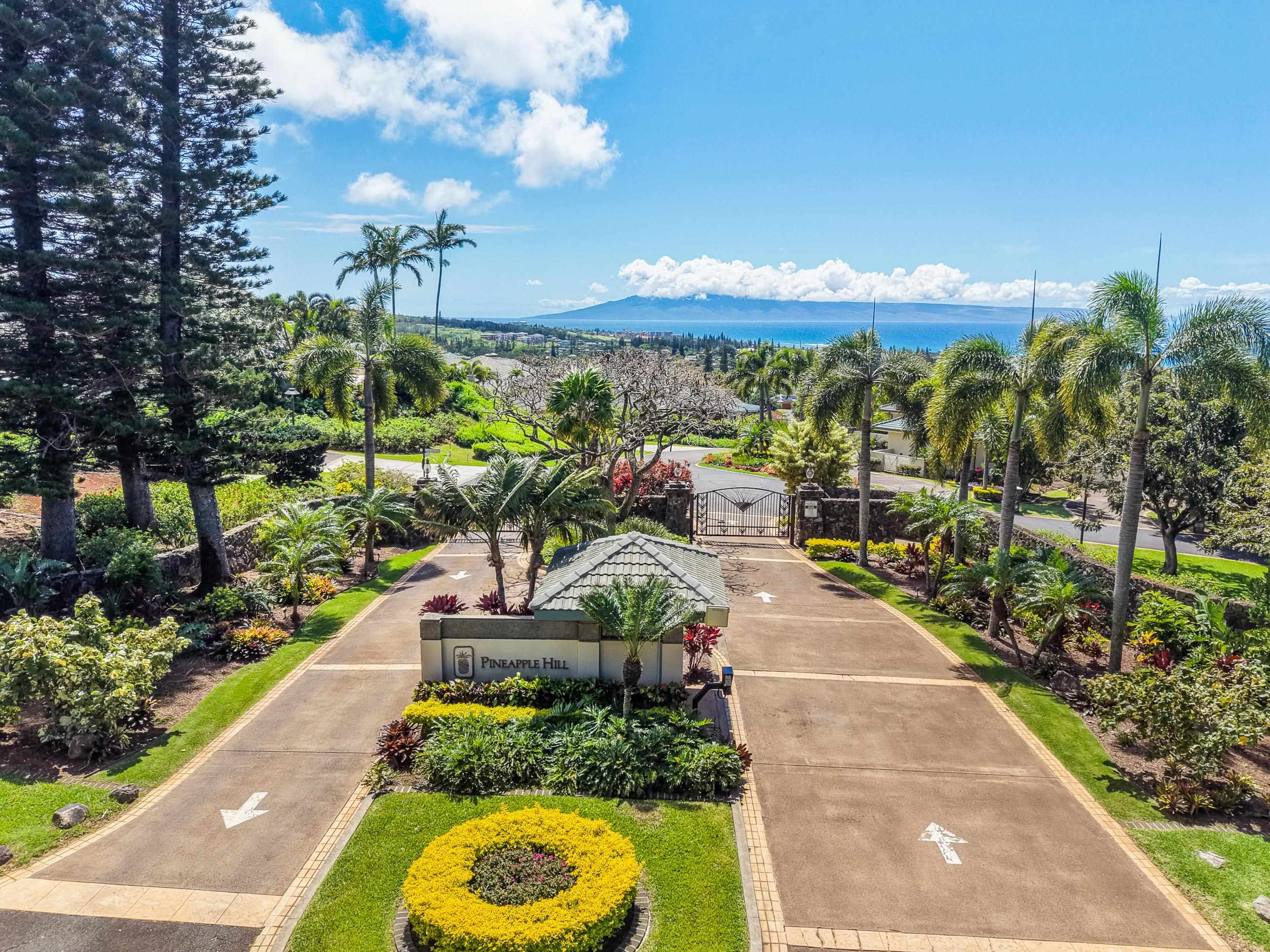 Pineapple Hill Estates — Pineapple Hill Estates, Kapalua — property photo 20 of 20